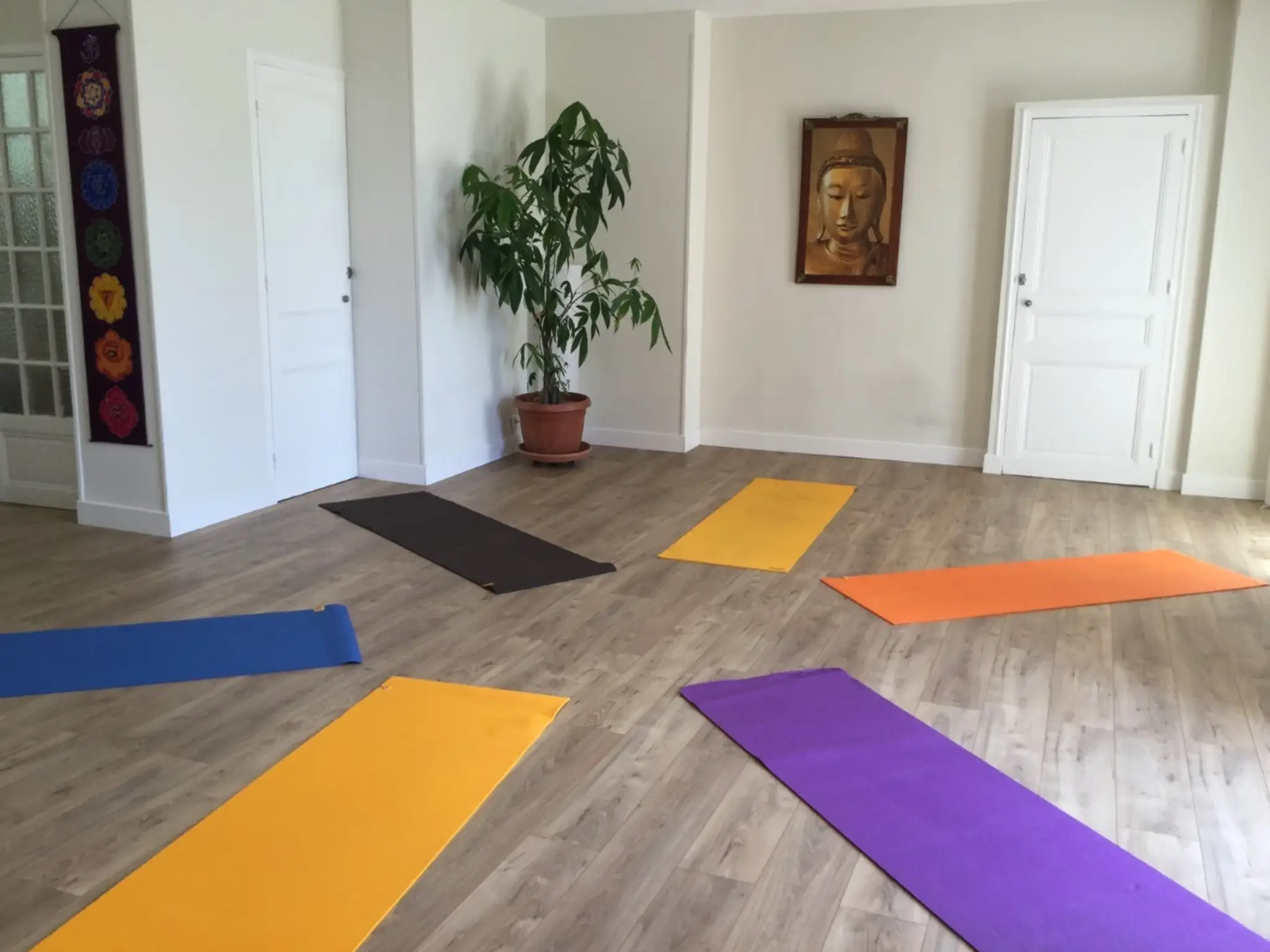C'yoga Cimiez Room Yoga