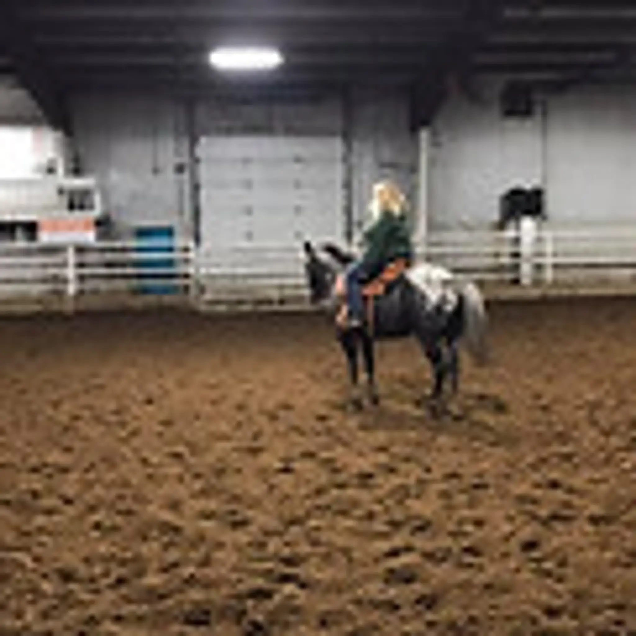 Stepping Stones Acres