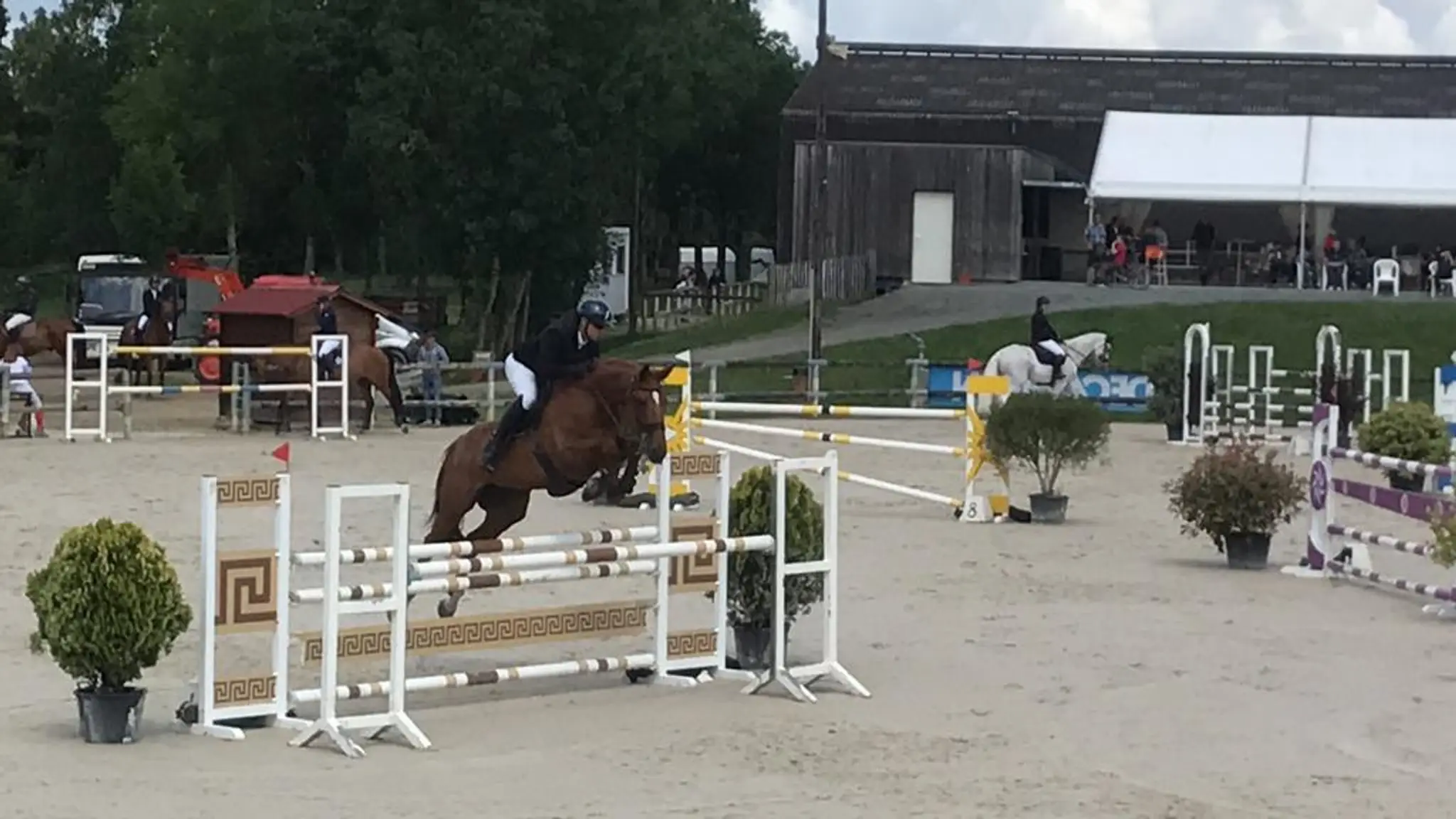 Dem Area Equestrian De Monnières