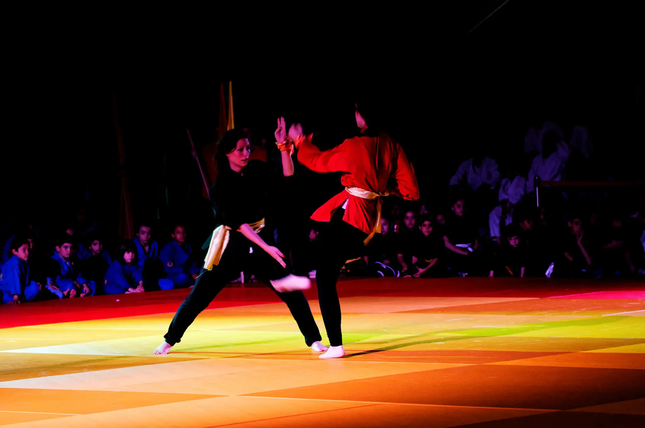 Tam Vo Dao School Of Vovinam Viêt Vo Dao Paris