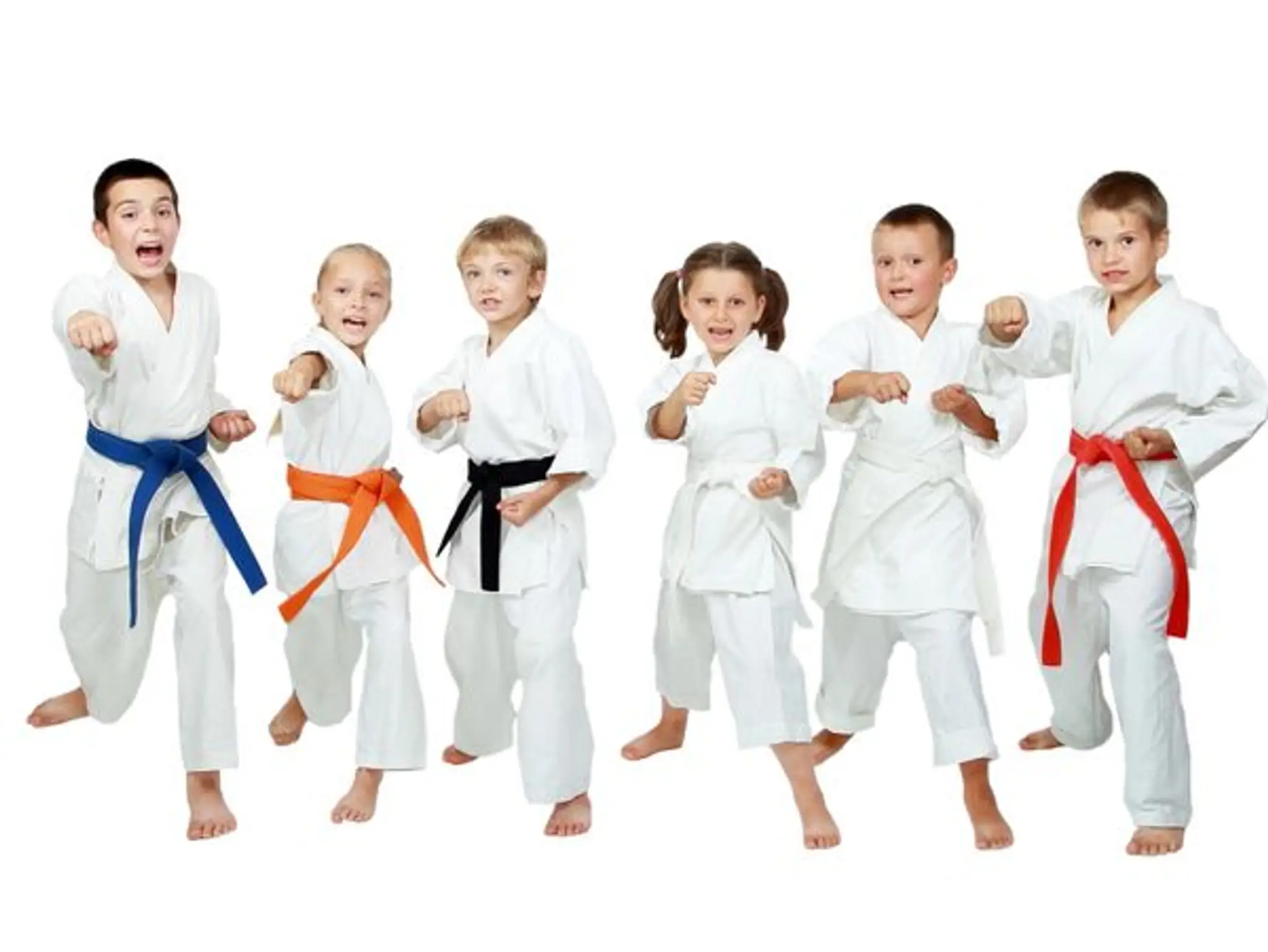 Shinri Karate Schools