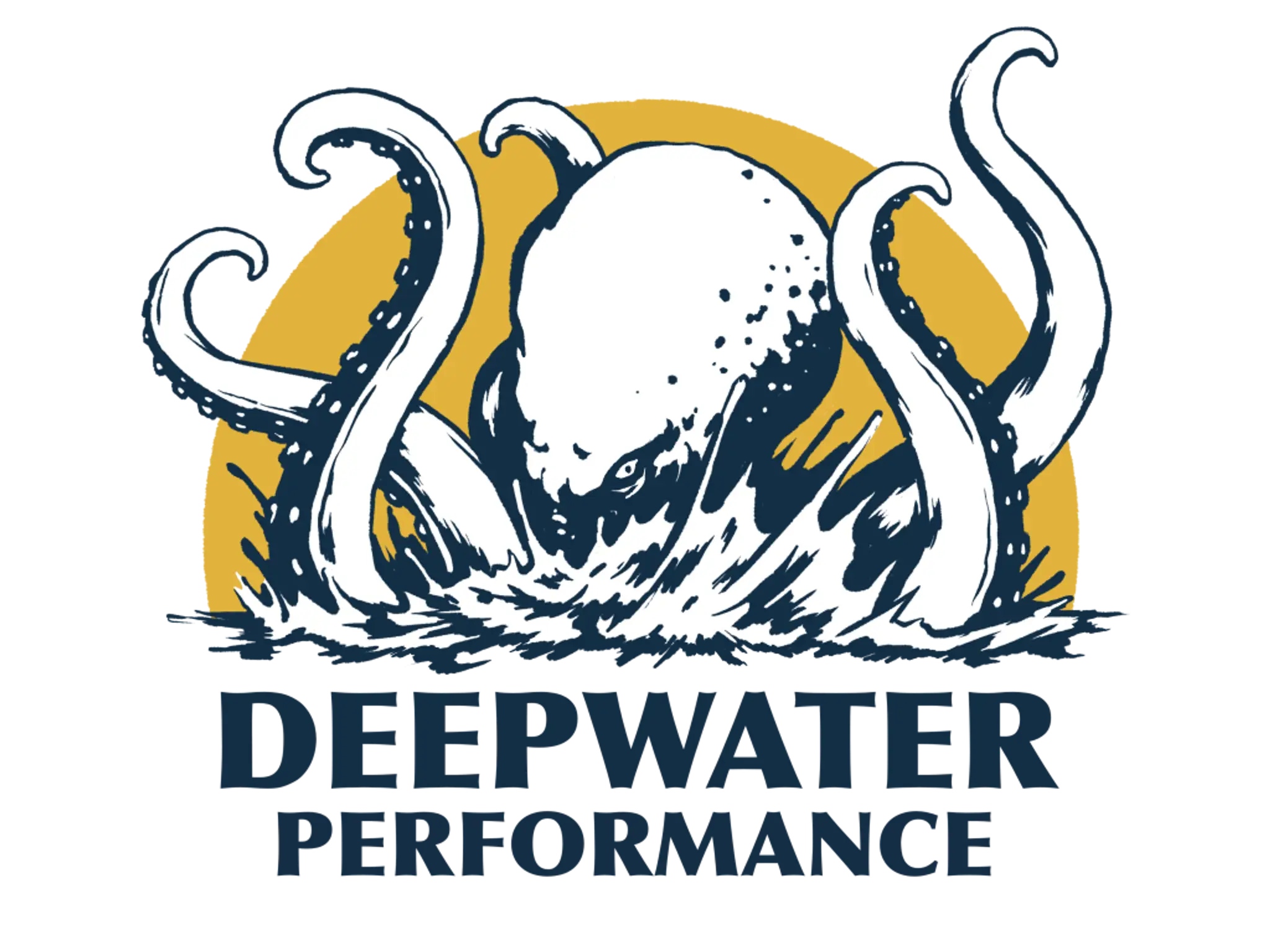 Deepwater Performance