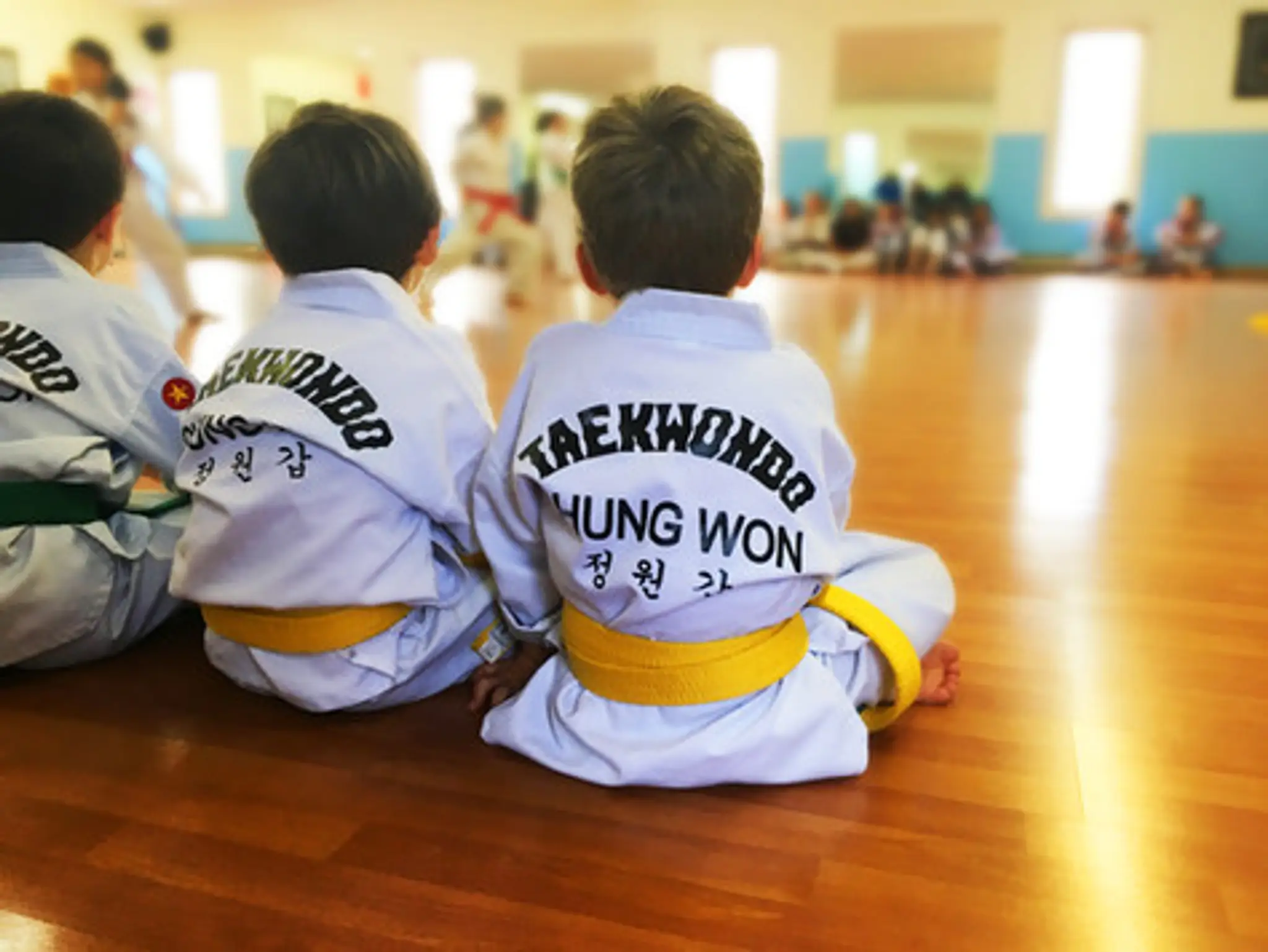 Canadian Haidong Gumdo Association