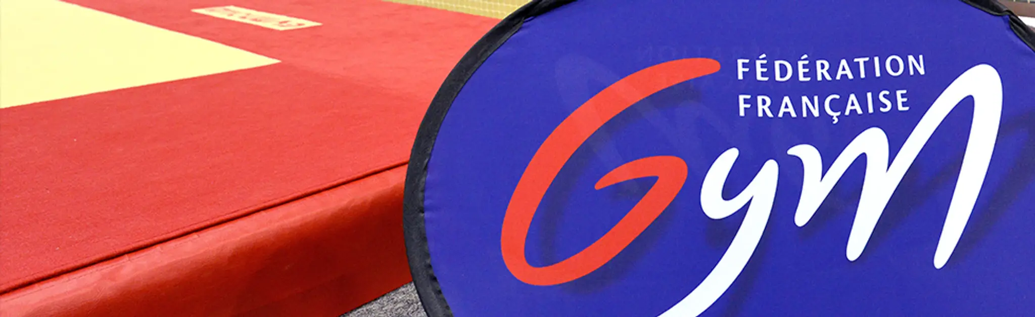 Fédération Française de Gymnastique