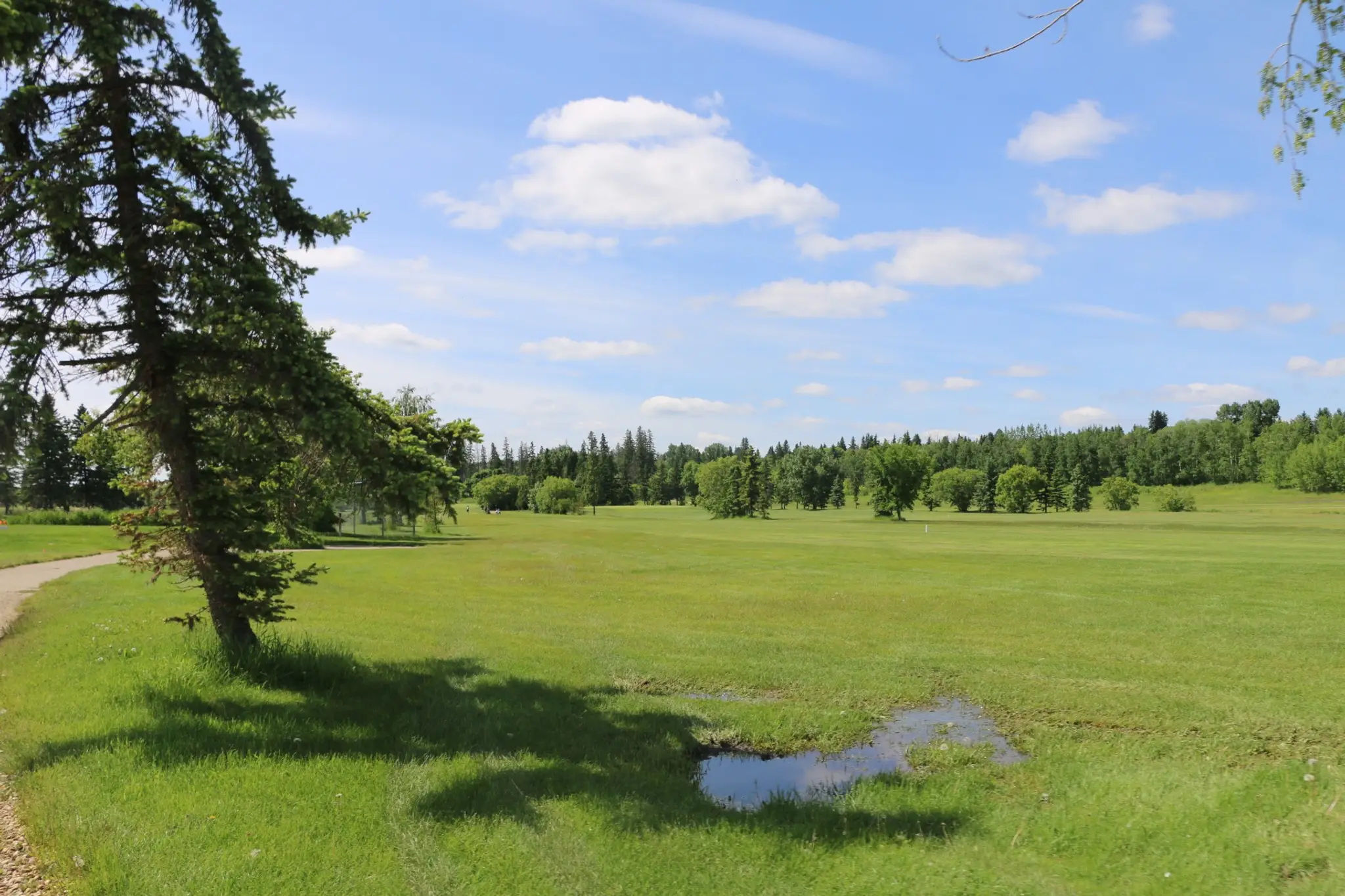 Meadowview Golf & Country Club