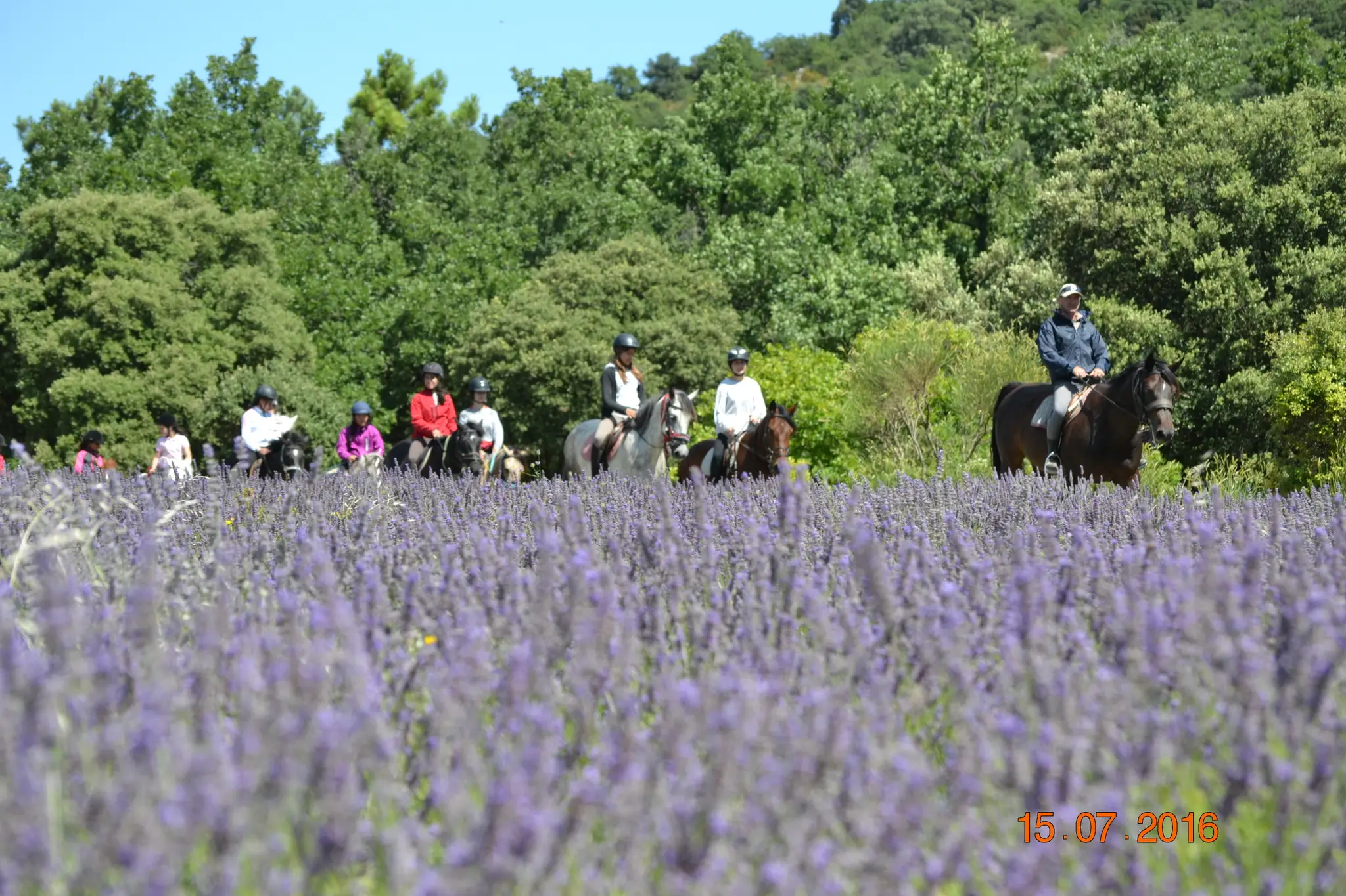 DOMAINE EQUESTRE DU MOULIN