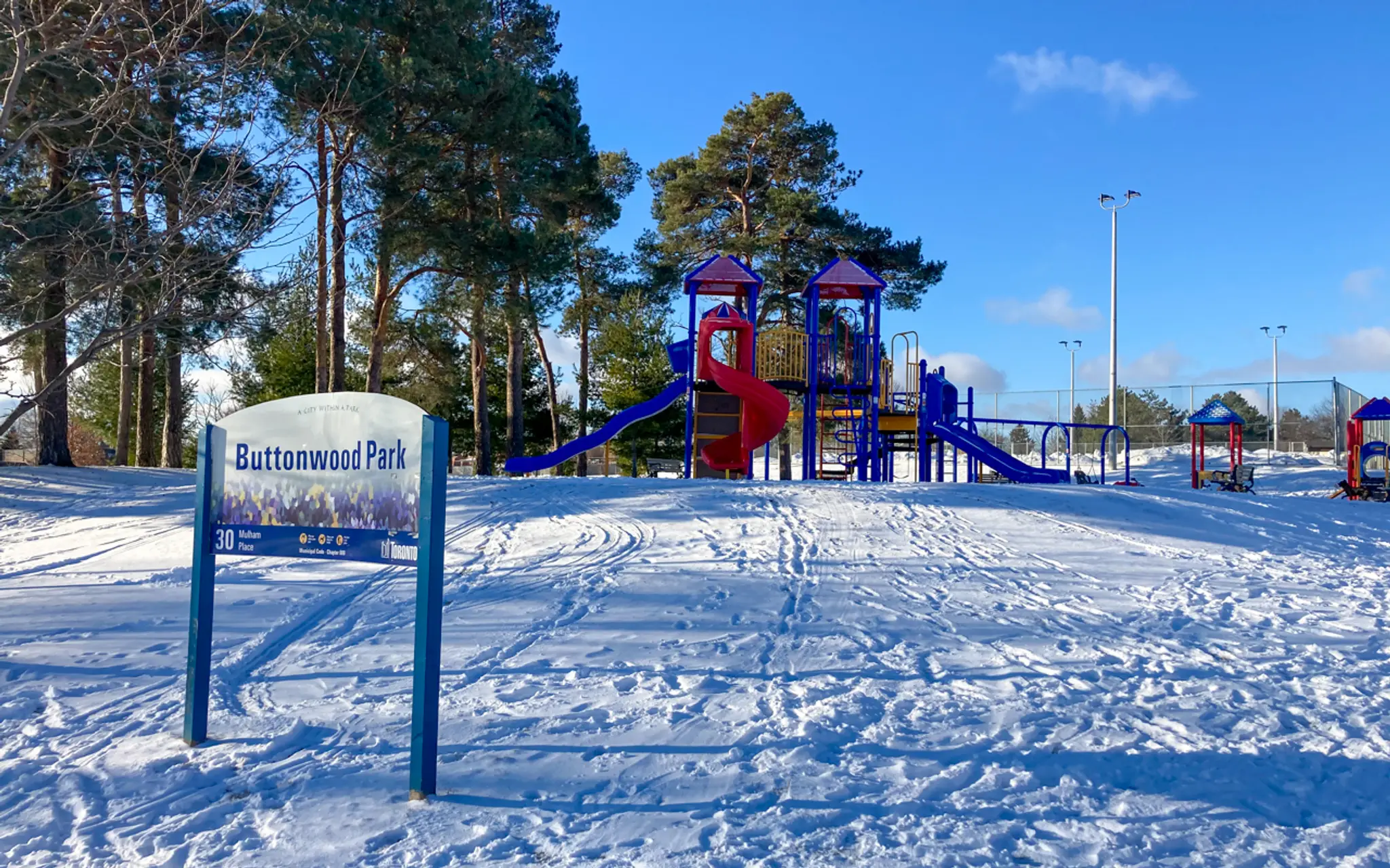 Buttonwood Park Outdoor Rink