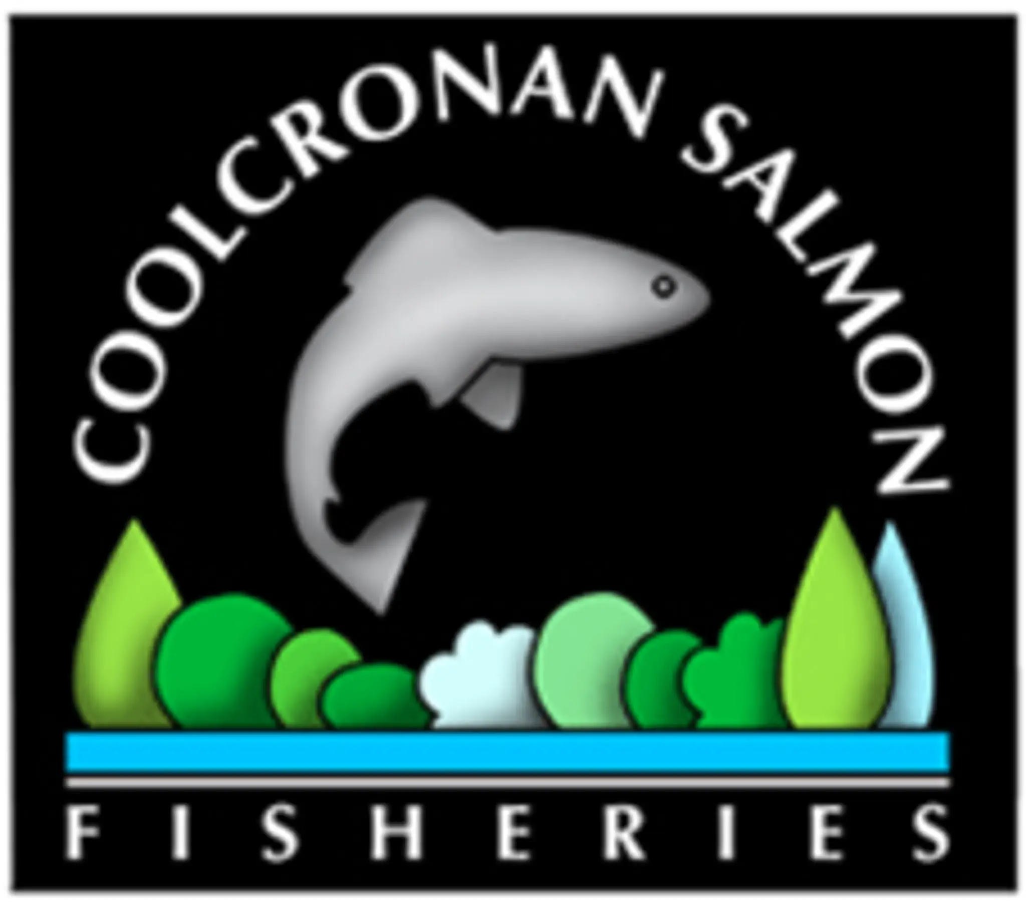 Coolcronan Salmon Fishery