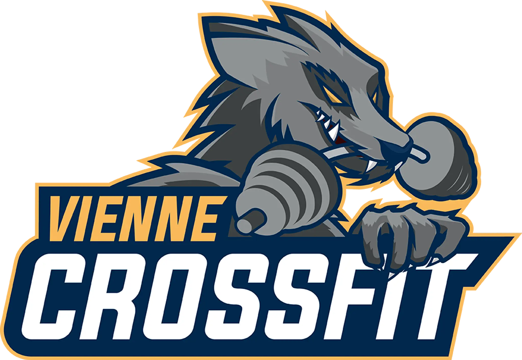 Vienne CrossFit