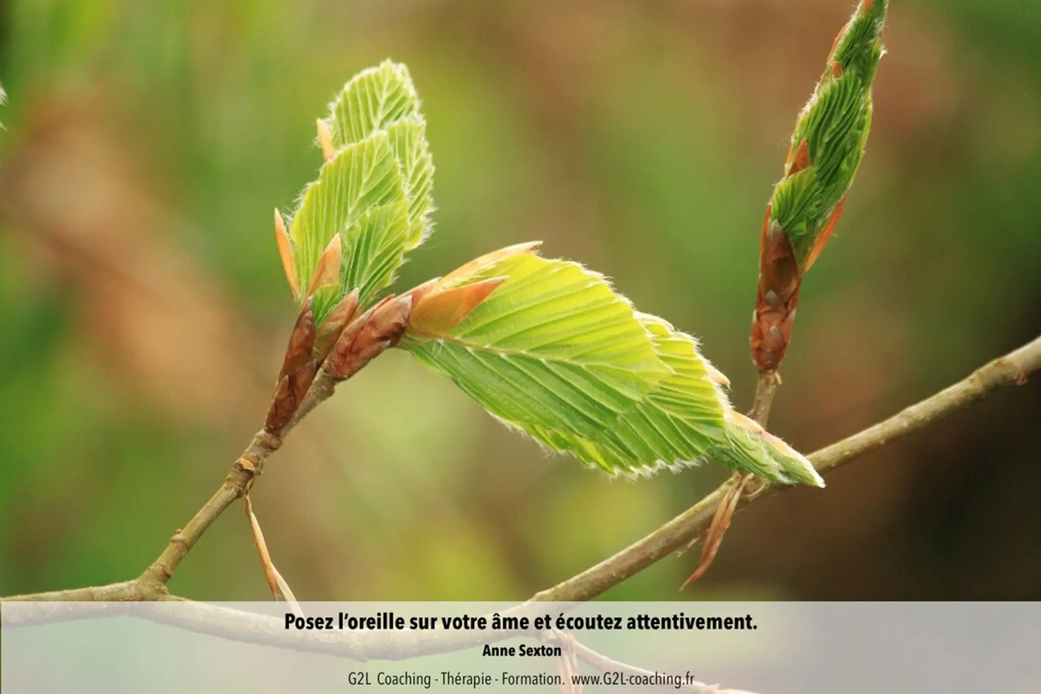 G2L Coaching- Psychothérapie - Formation