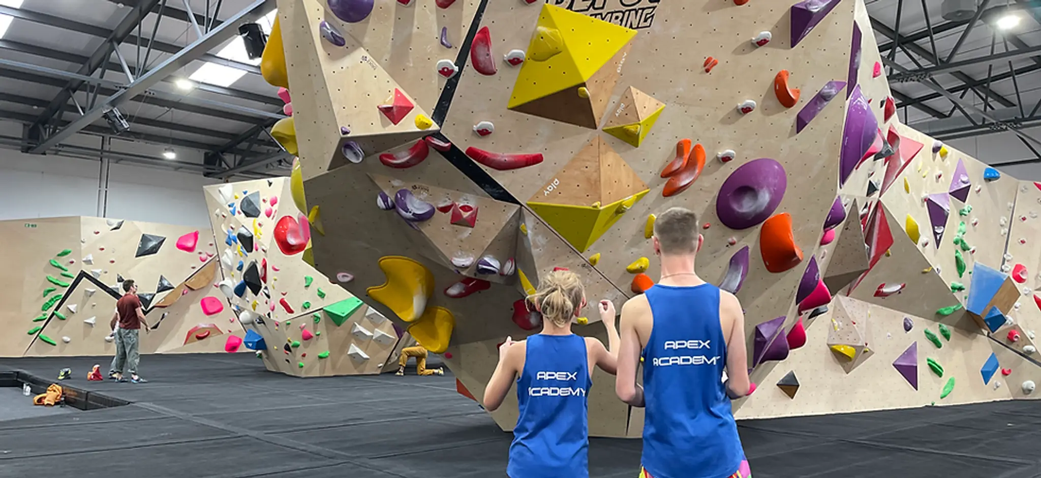 Apex Climbing Coaching
