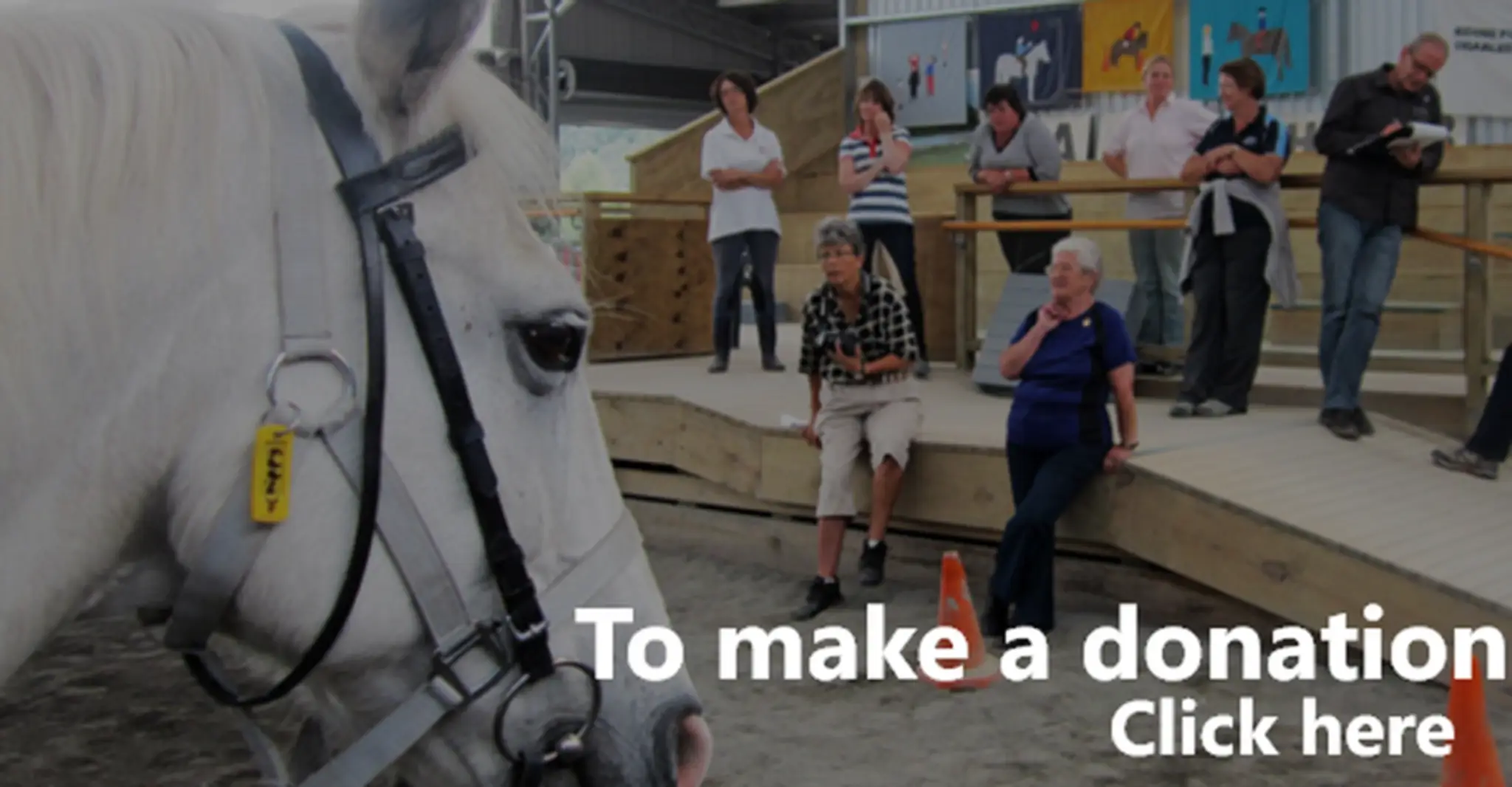 Te Aroha Riding for the Disabled - Waihou