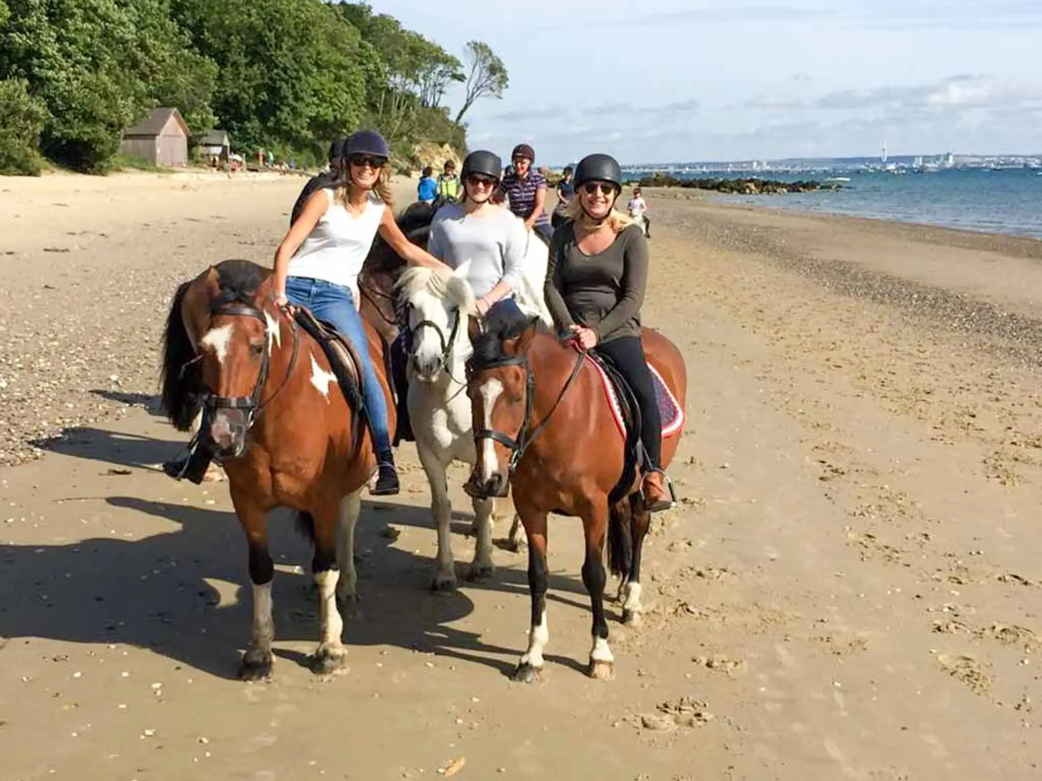 Sally's Riding School