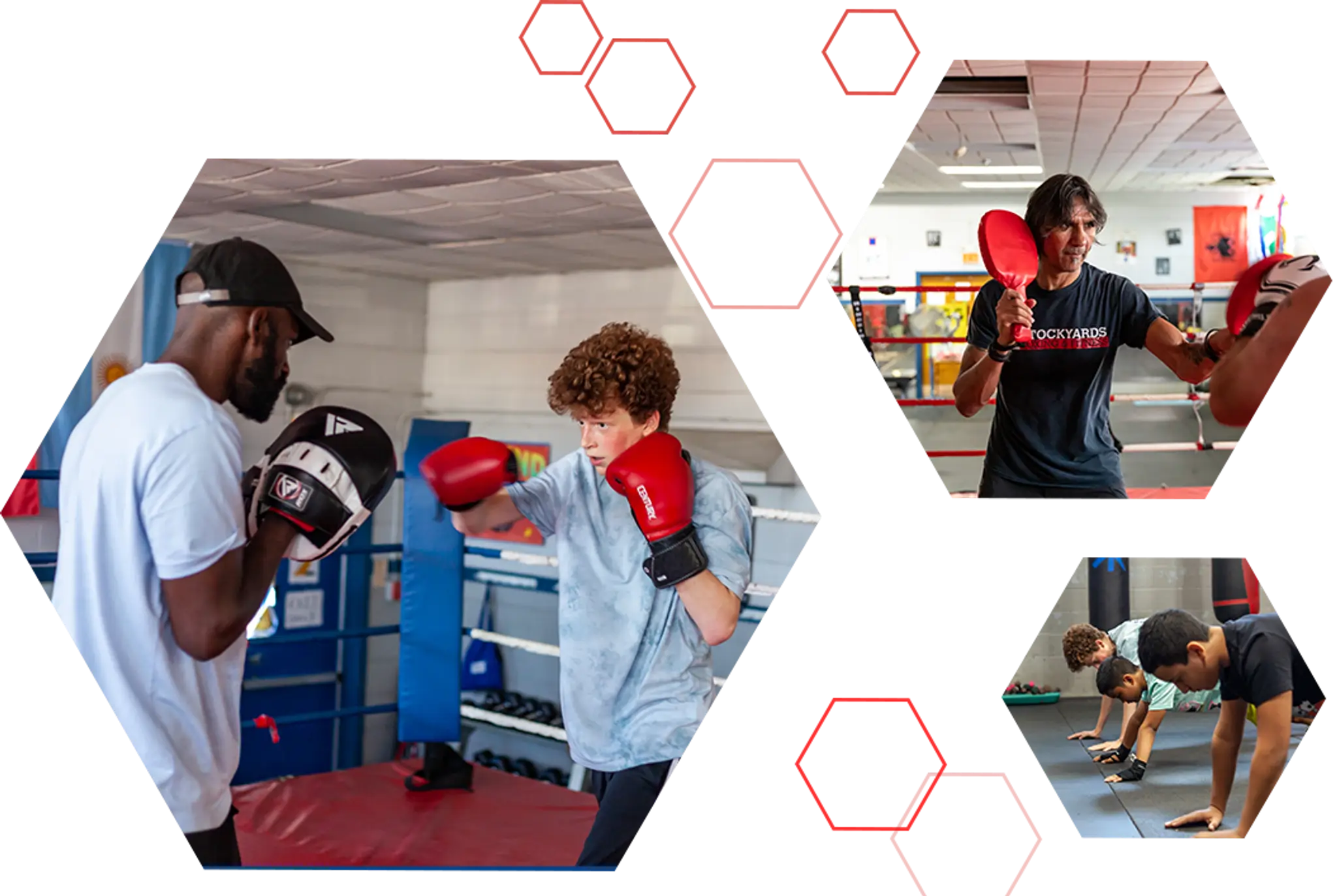 Stockyard Boxing & Fitness