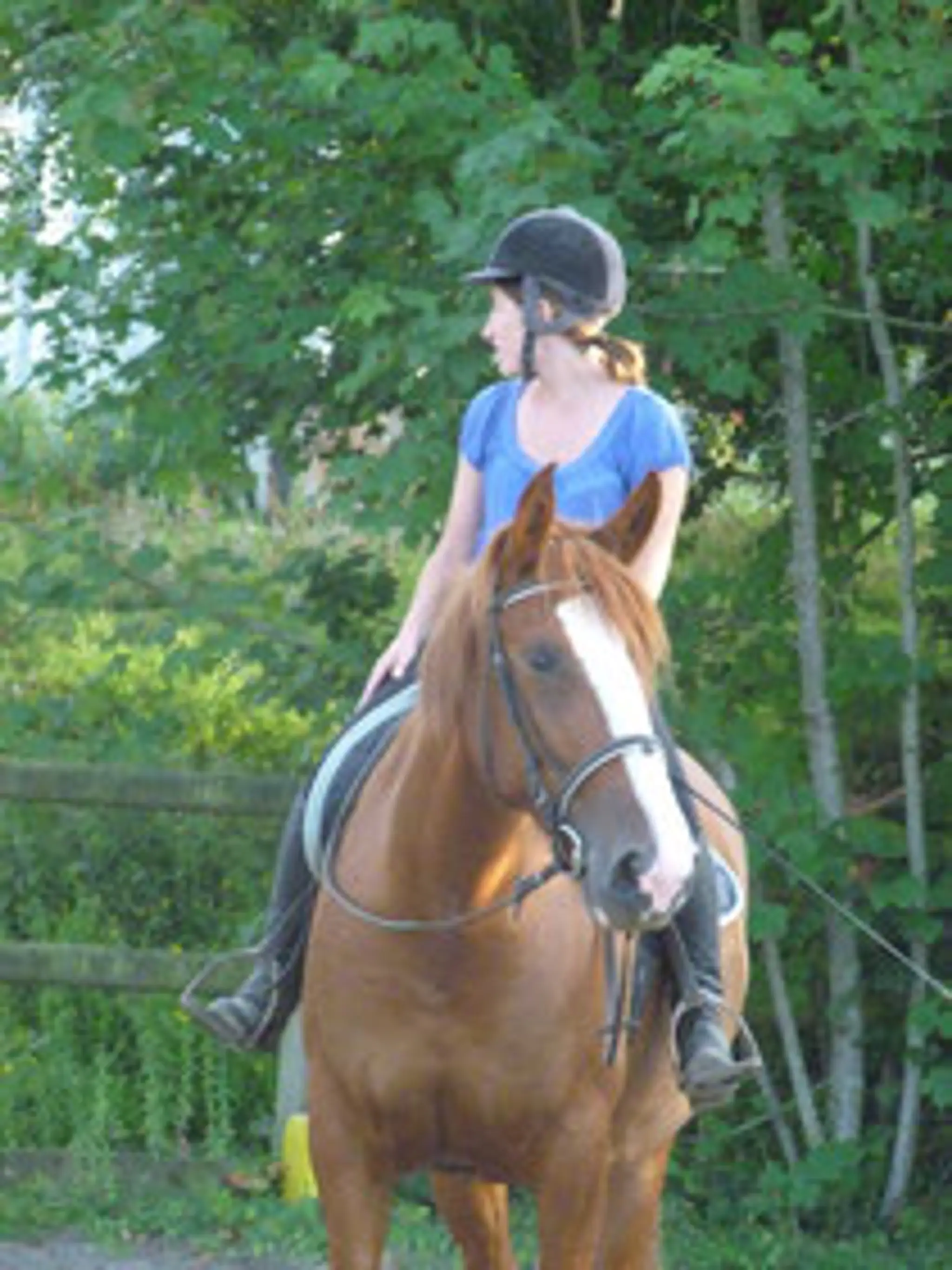 Equestrian Center Pony Club De Saint Palais