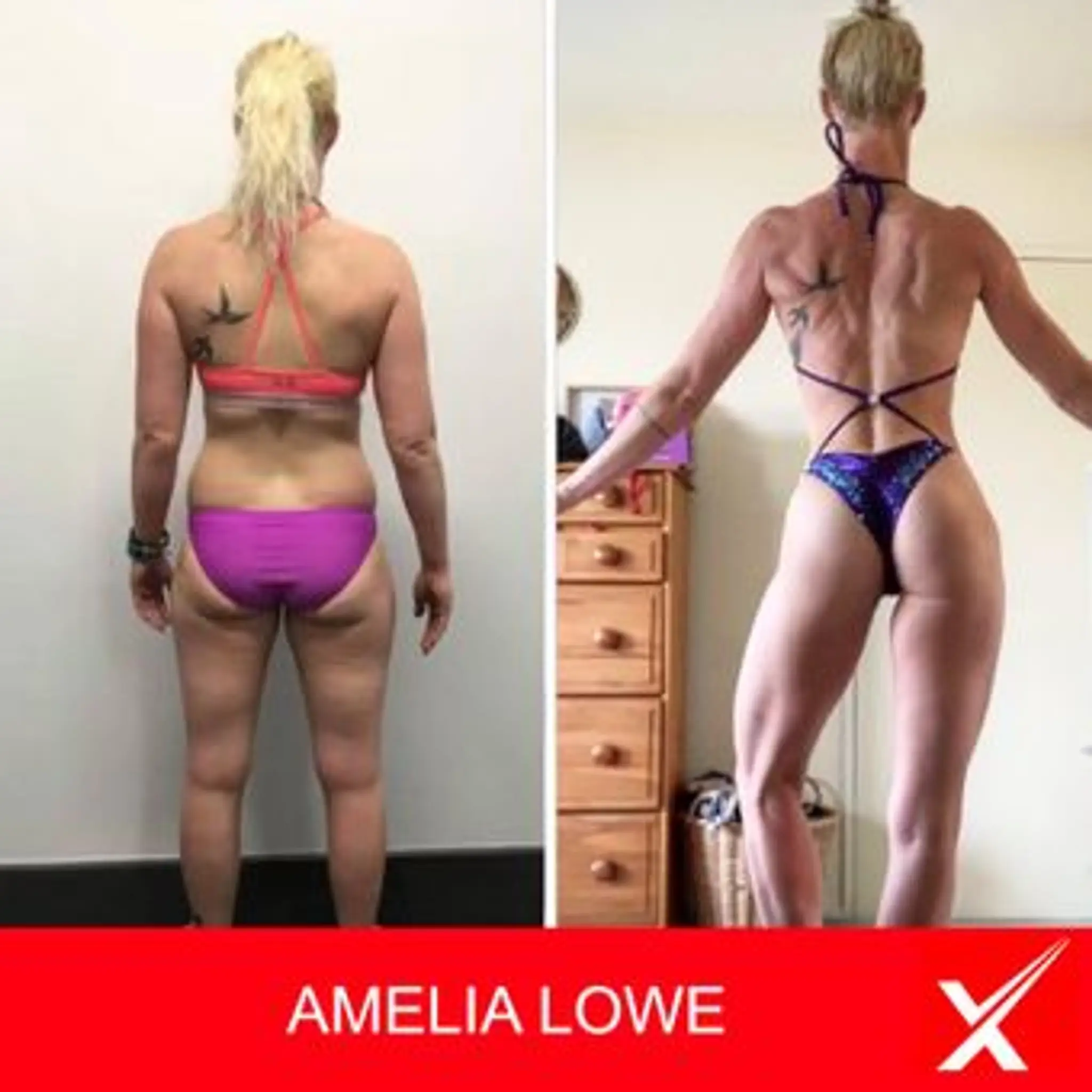 RexFit Body Transformation