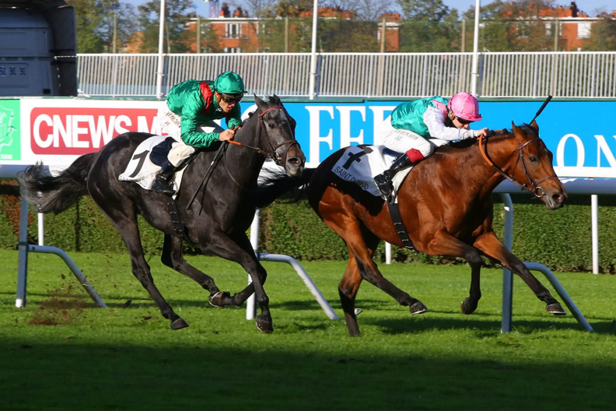 Company D'entrainement Pascal Bary