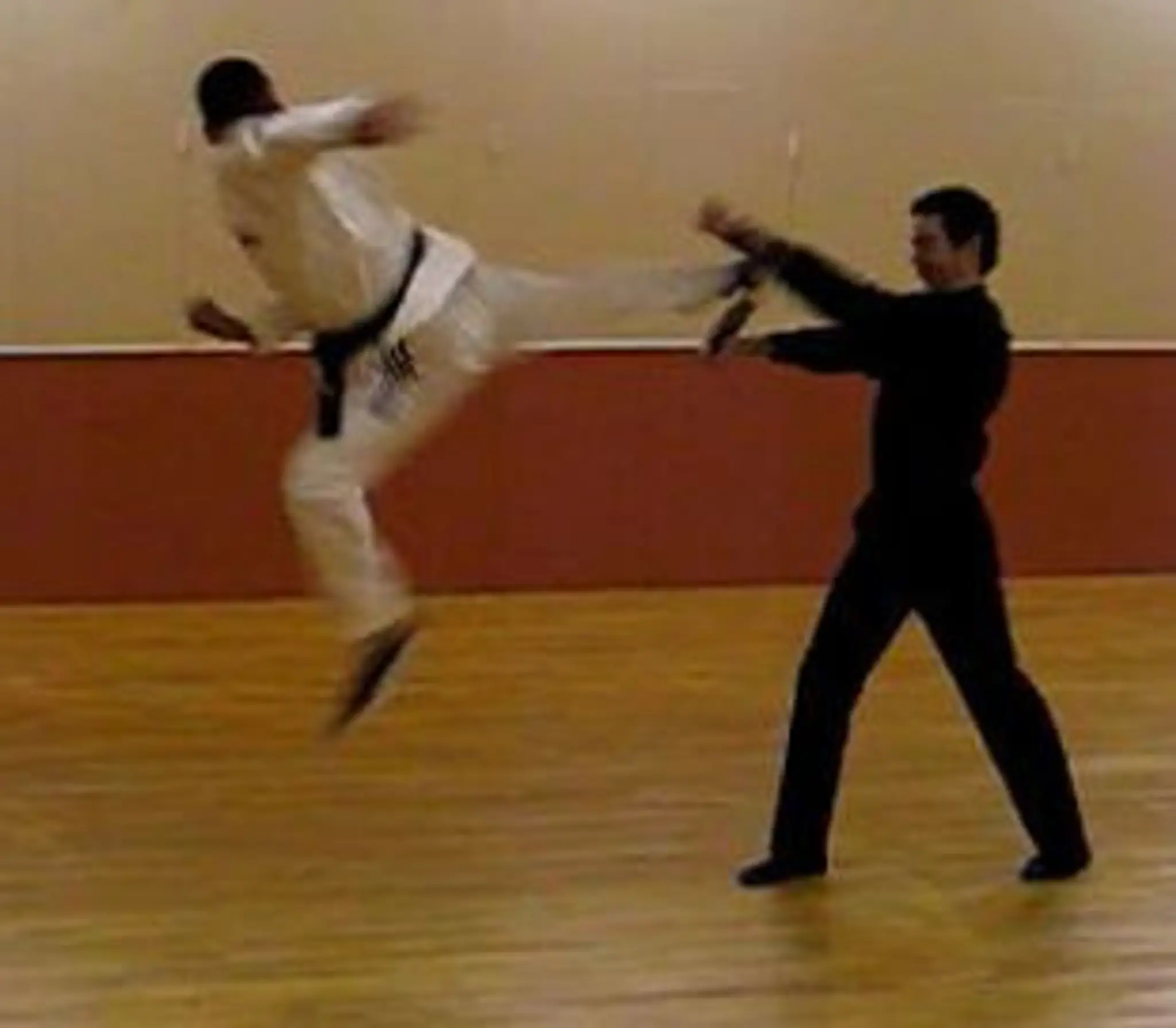 Sheffield Horangi Taekwondo