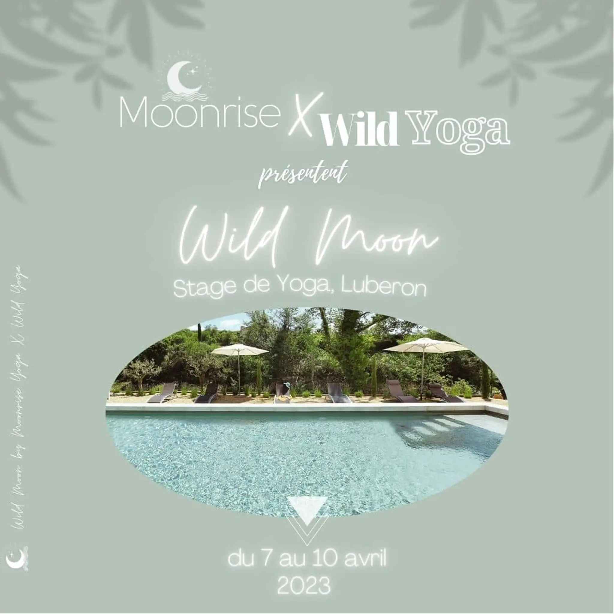 Moonrise Yoga Studio Marseille