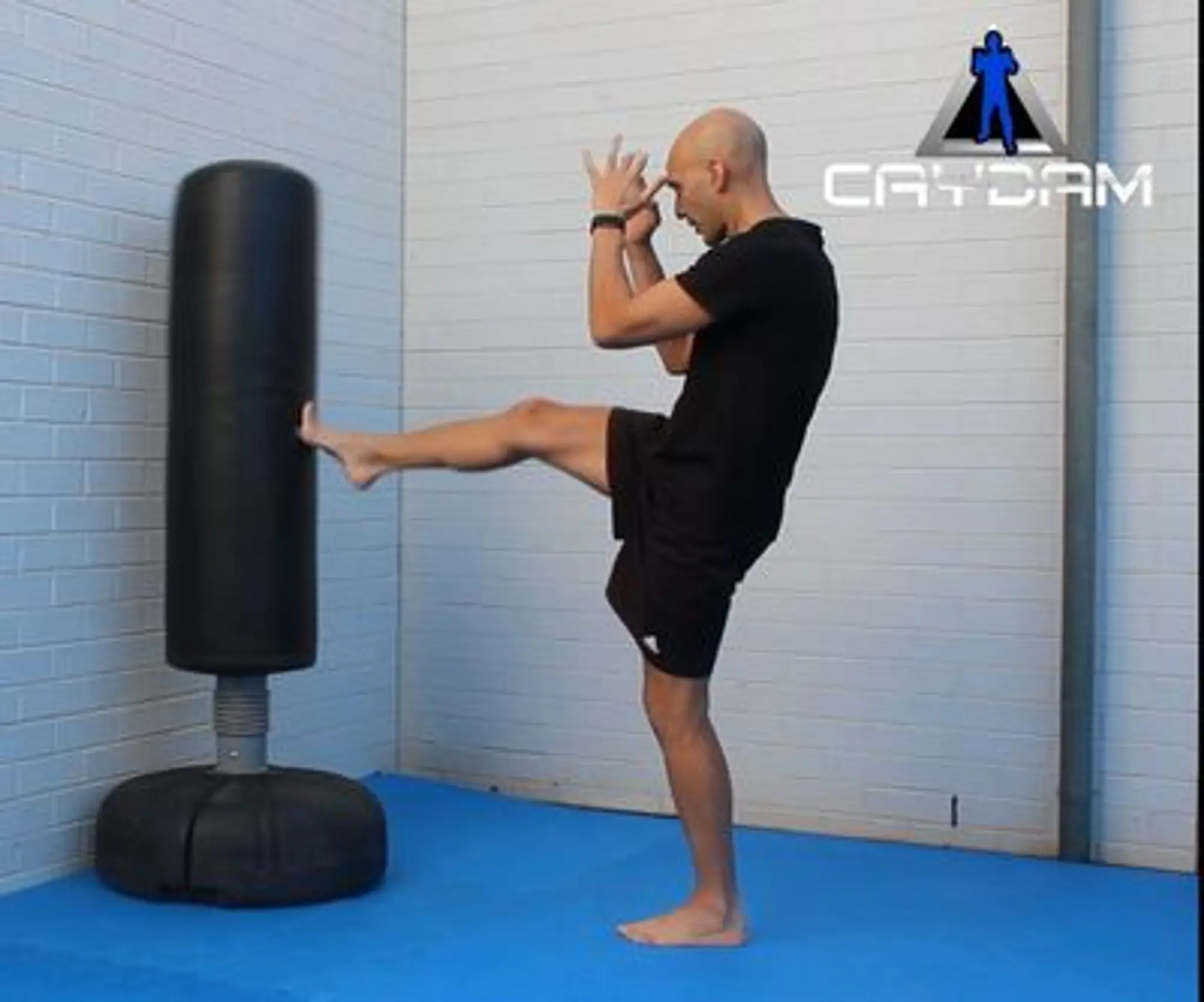 Caydam Self Defence and Fitness Systems