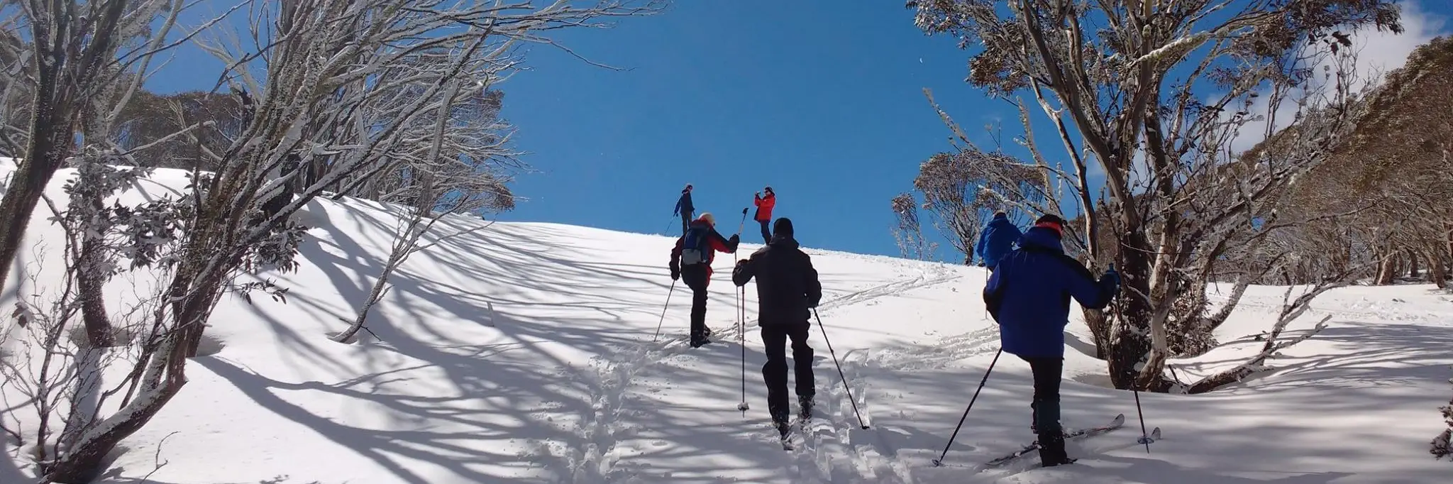 YHA Cross Country Ski Club