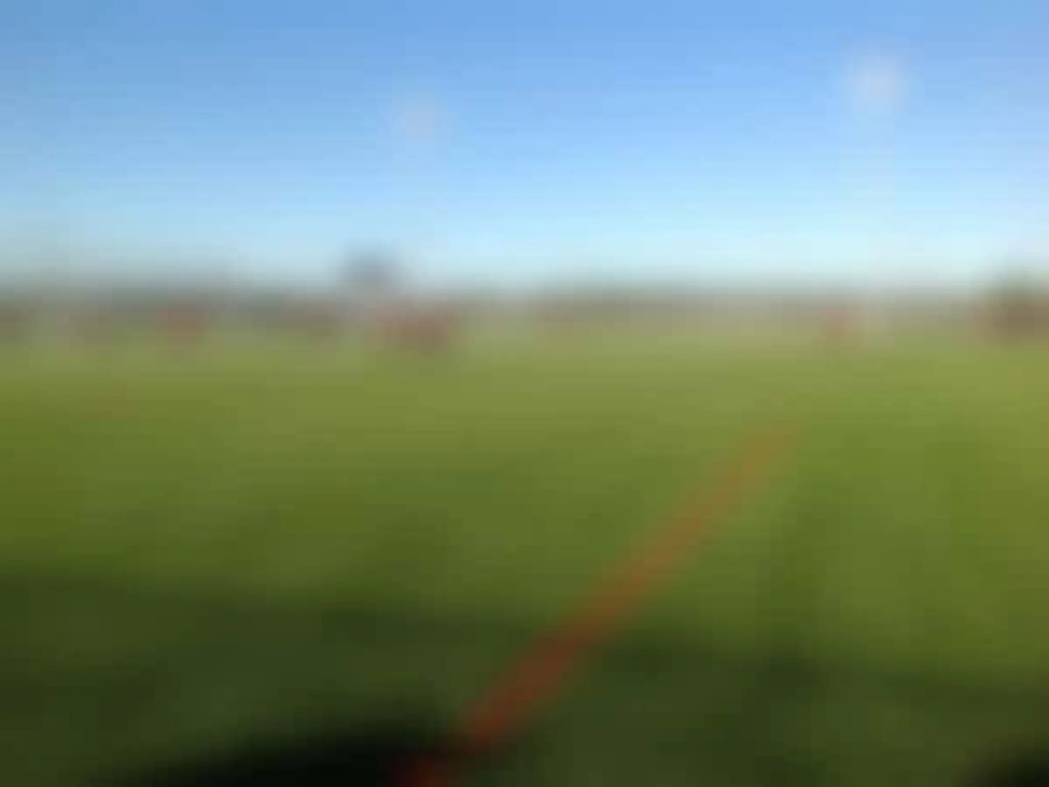 Vaughan Grove #2 (Grass)