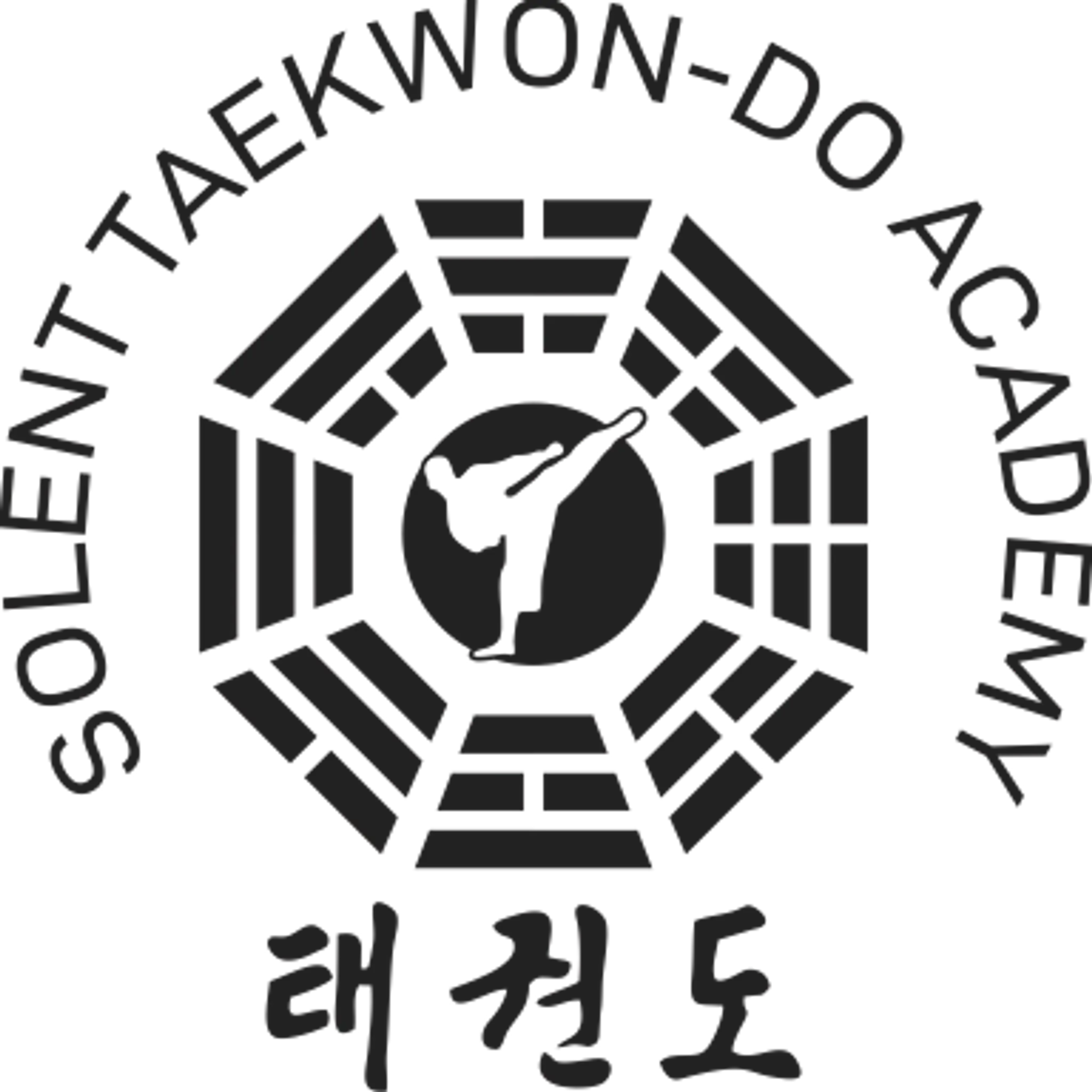 Solent Taekwon-Do Academy
