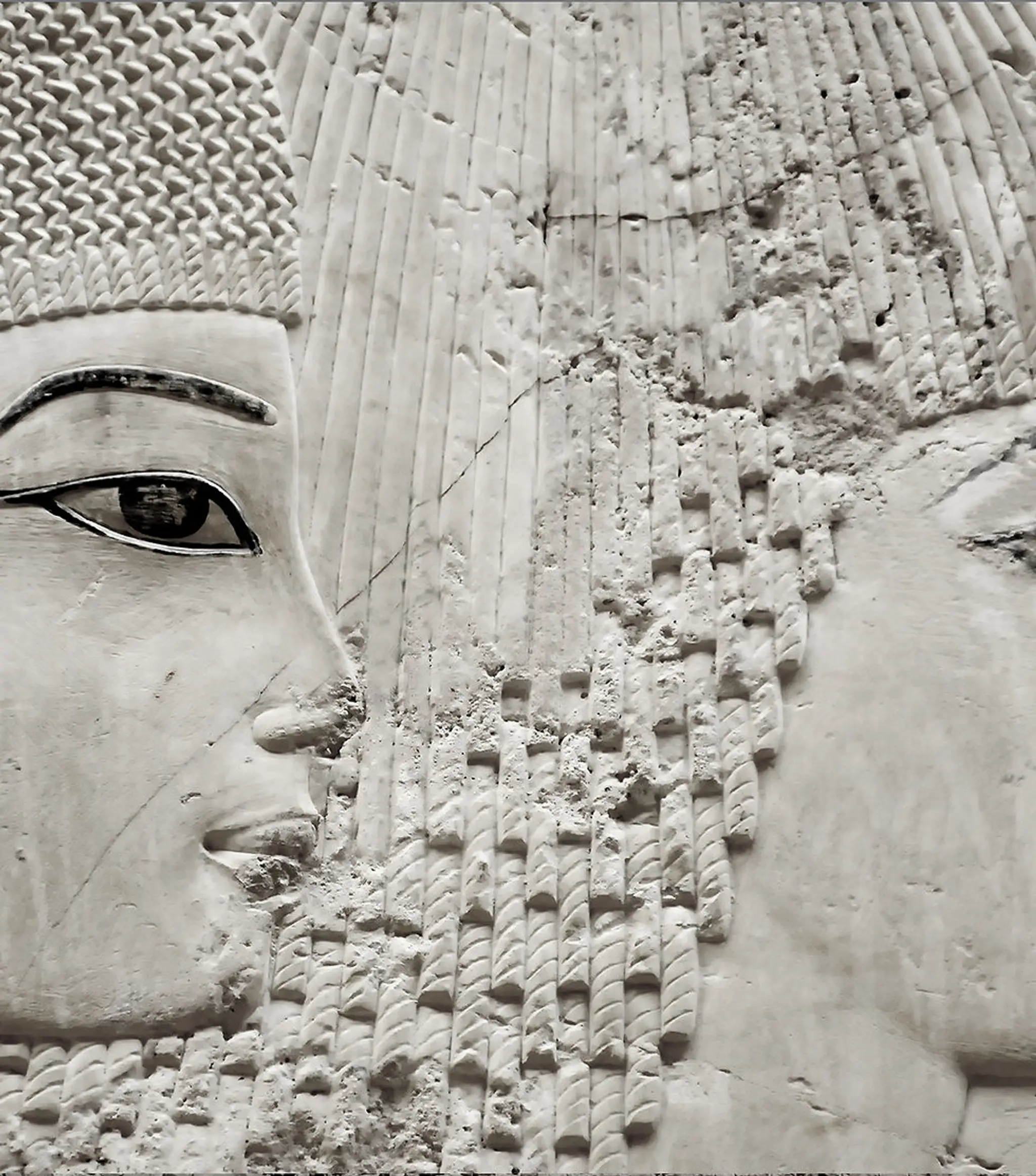 Sophrologie-Hypnose-Coach-Energetique-Yoga-Emdr-Pontchateau-Laure De La Roche-44