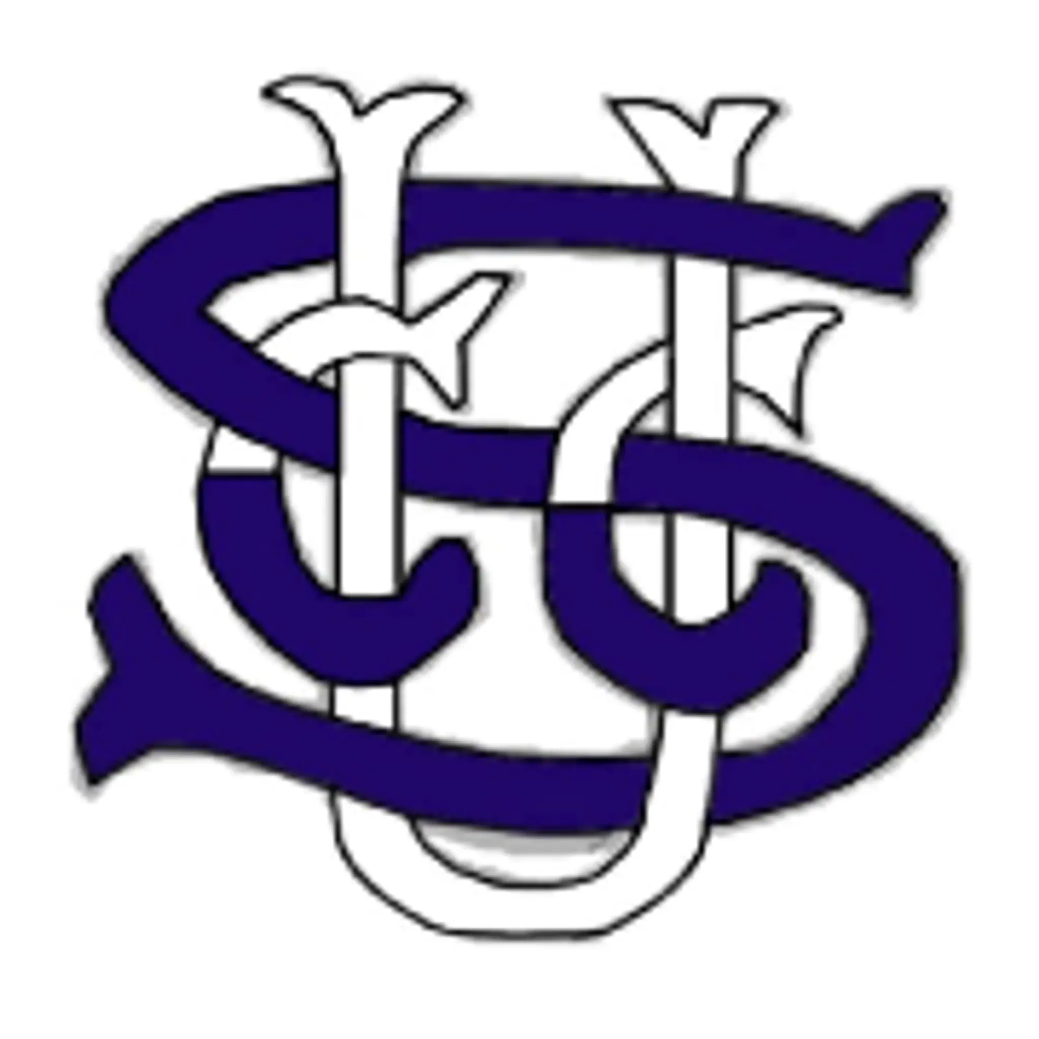 Thorpe Hesley and High Green Cricket Club