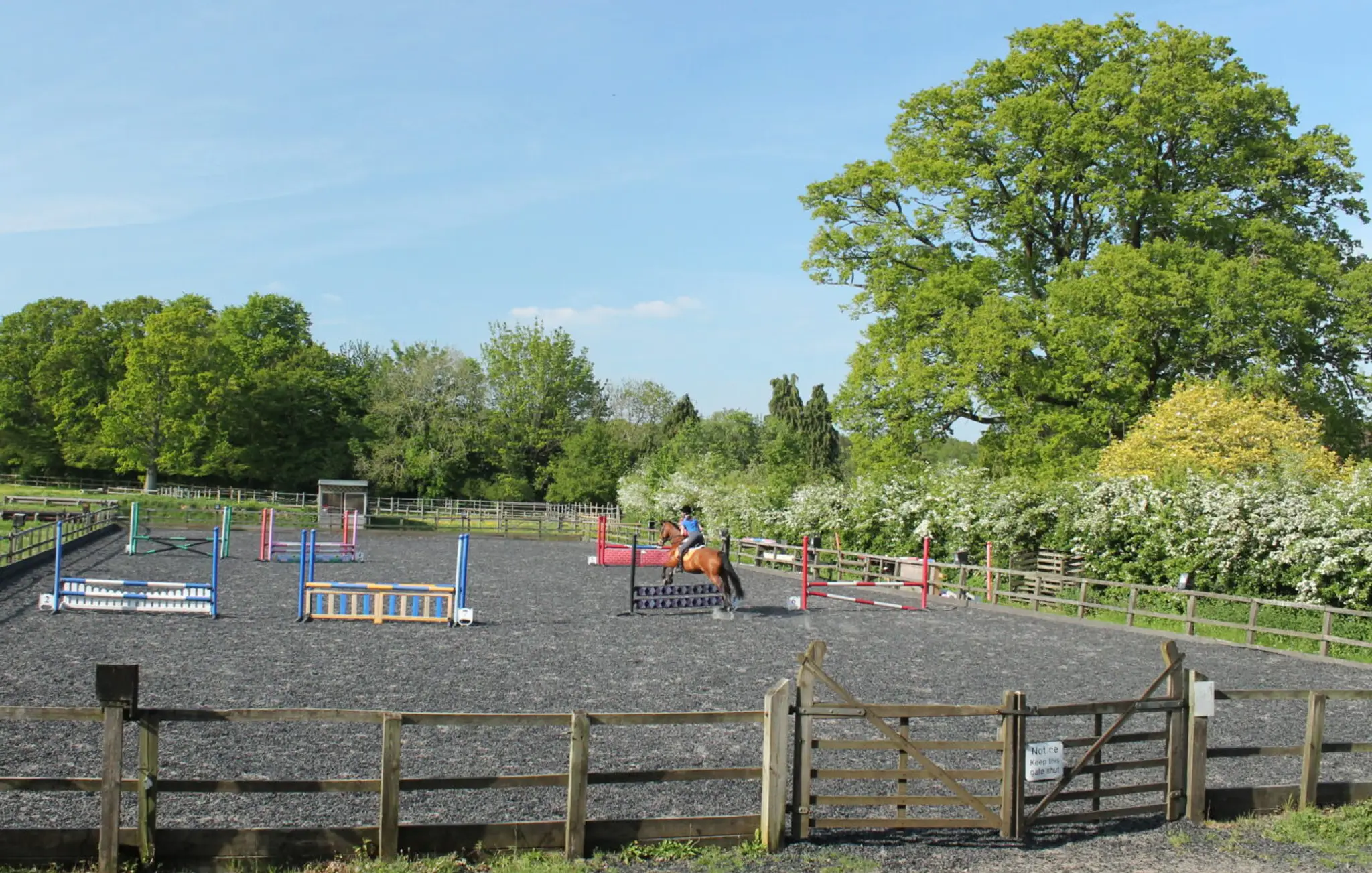 Checkendon Equestrian