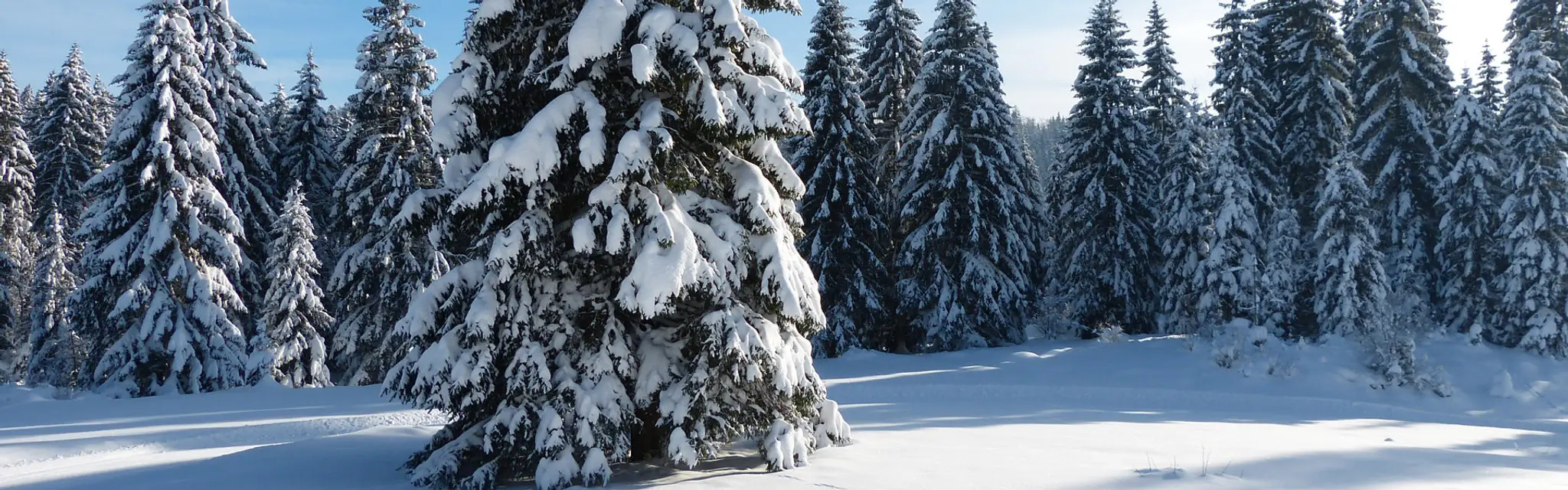 Ski Club du Grandvaux