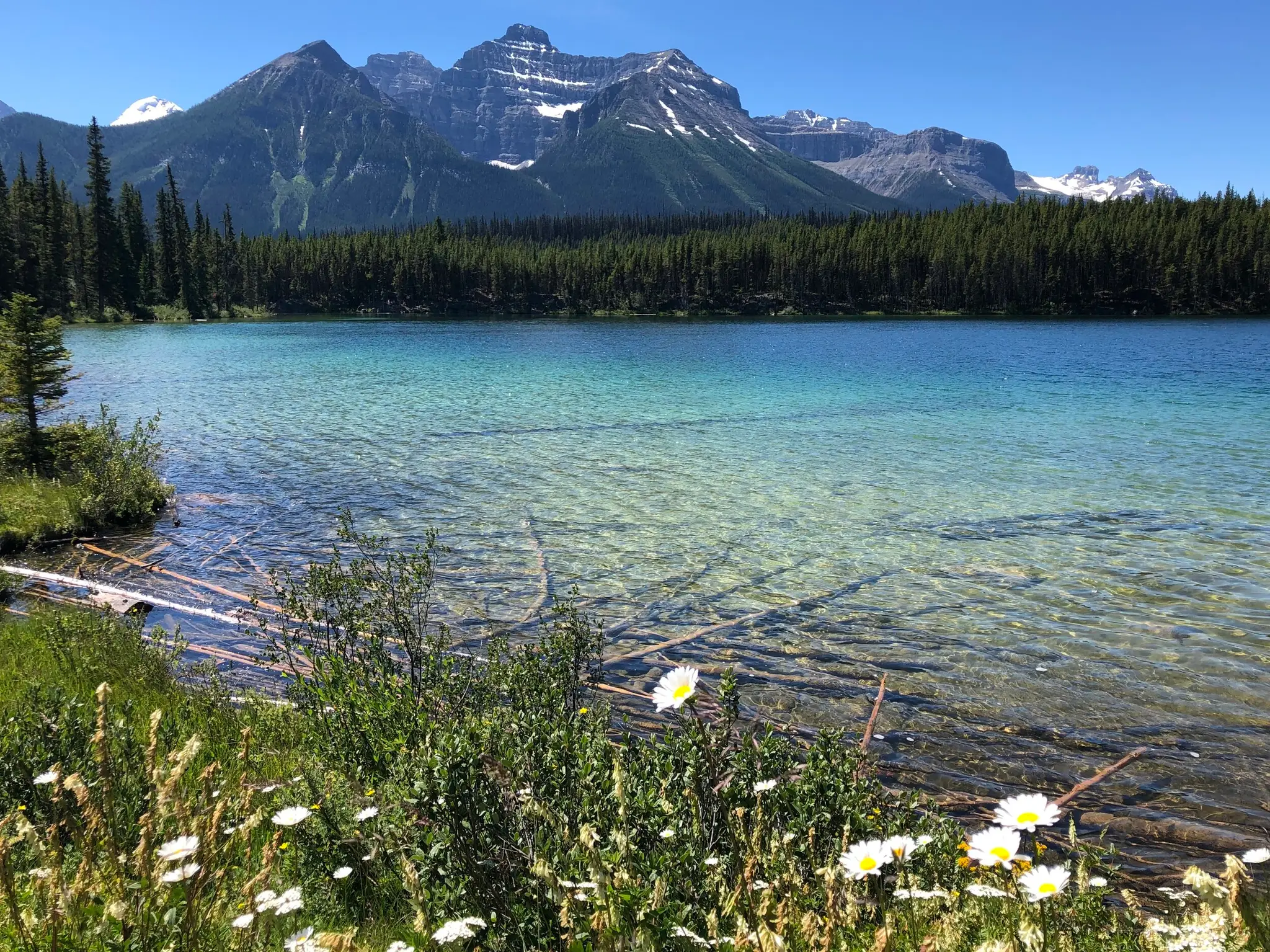 Hayley Molina Wellness