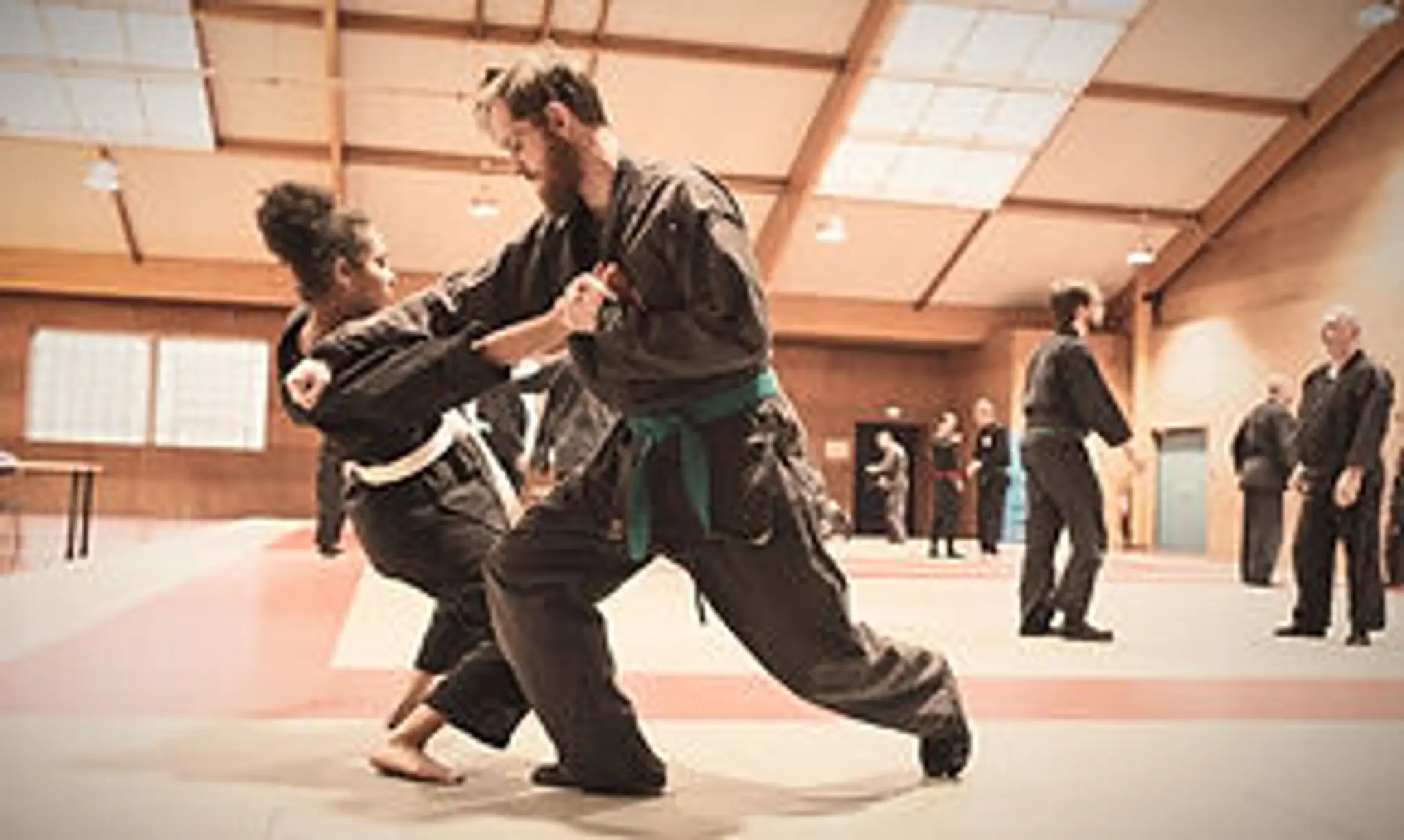 Bujinkan Kitamori Dojo Lille