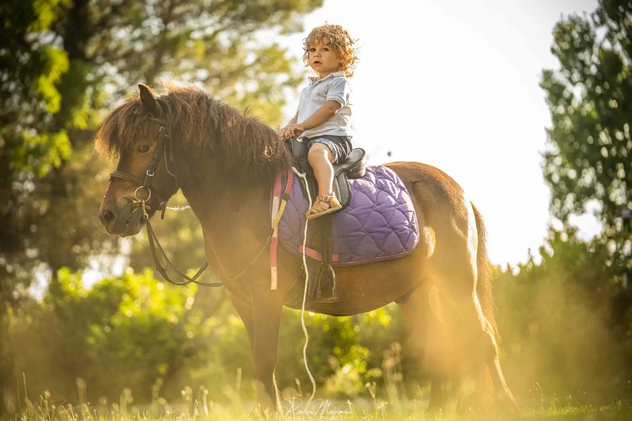 Pony Club De Maurin