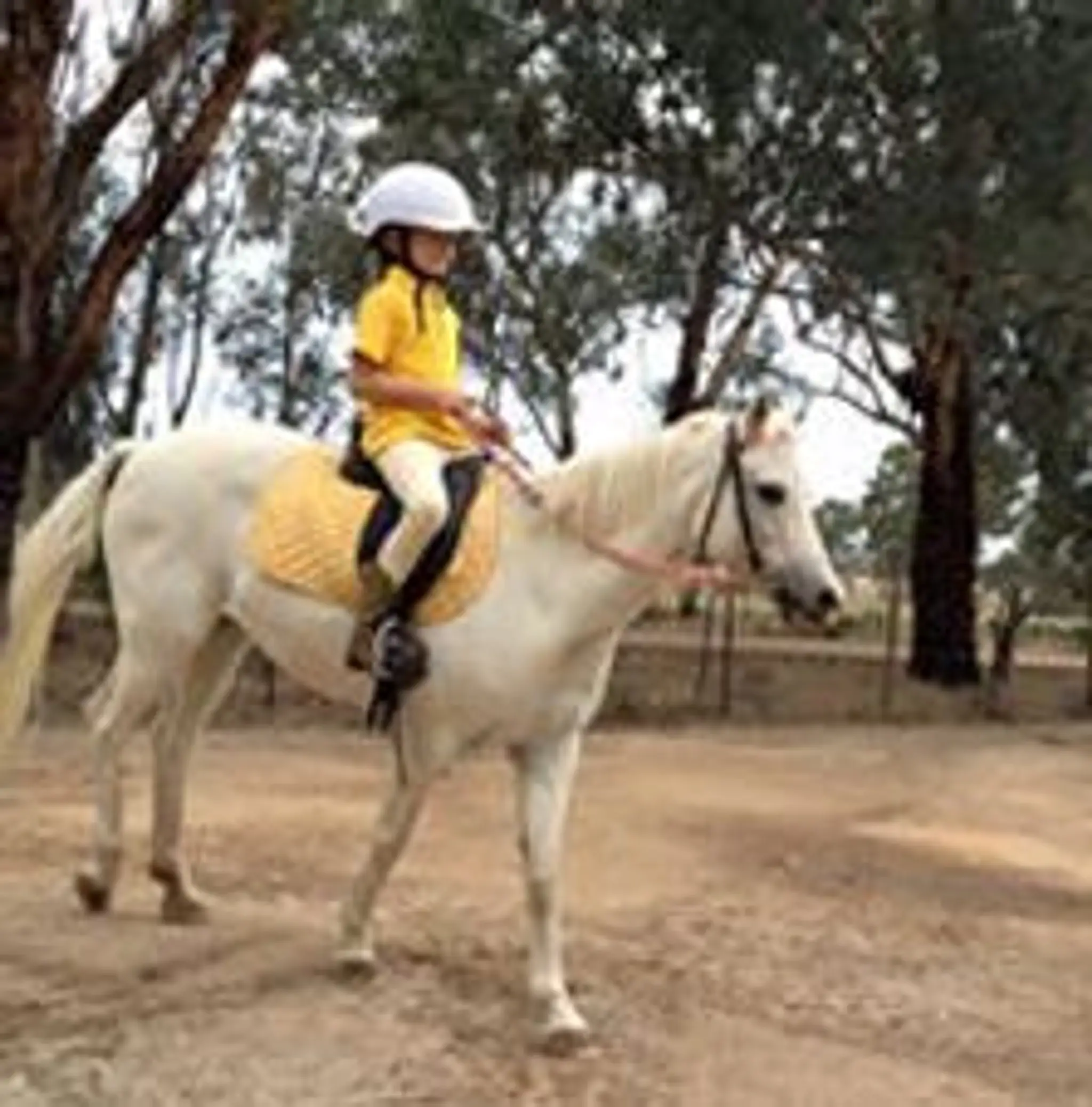 Bits & Boots Pony Rides