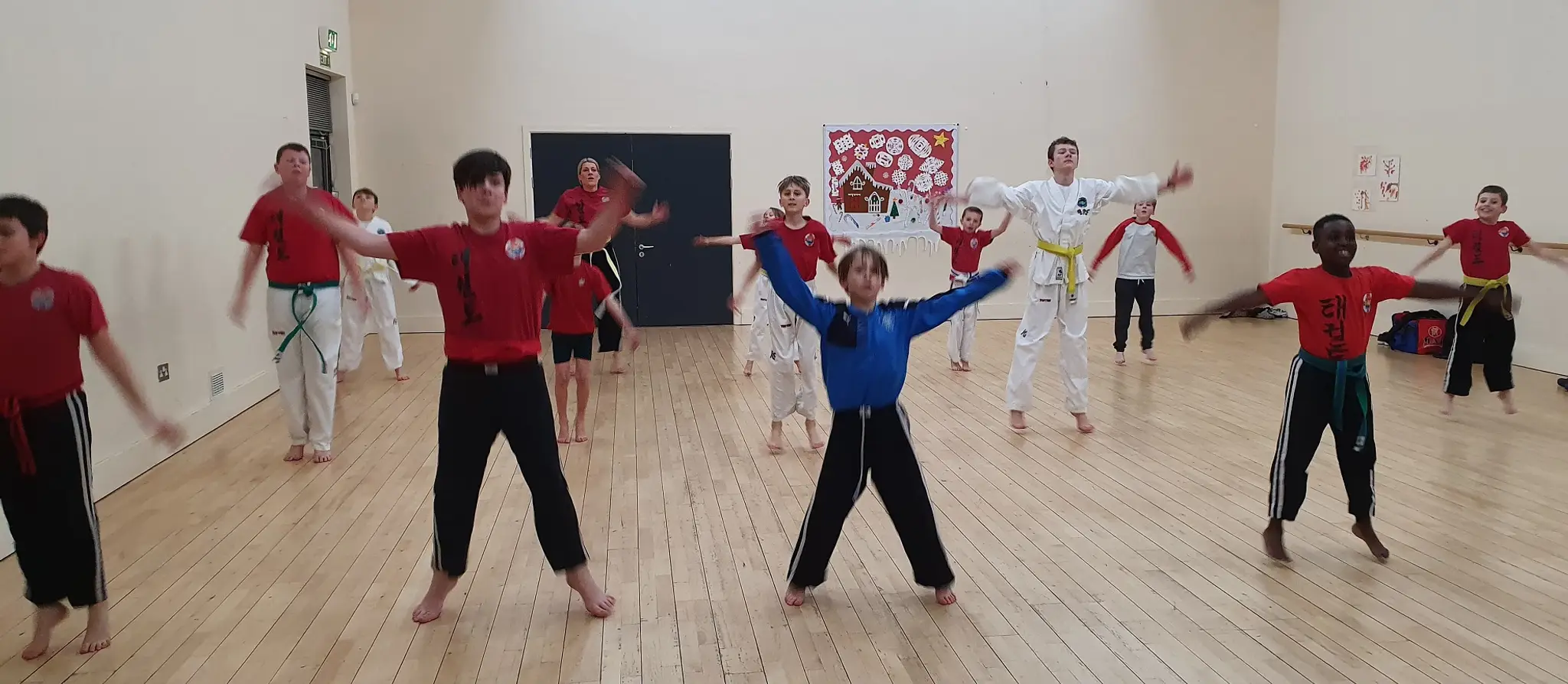 Vanguard Martial Arts