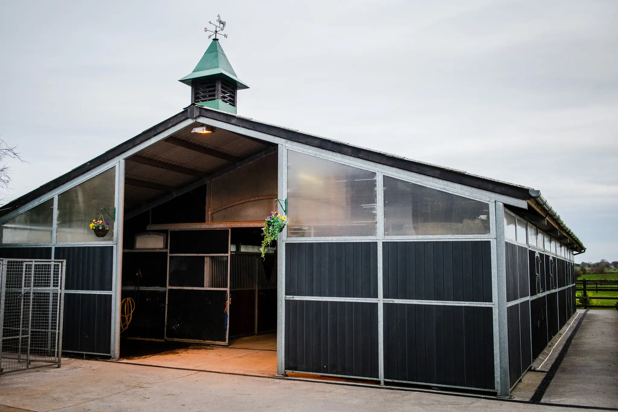 Hadley Sport Horses Sven Hadley