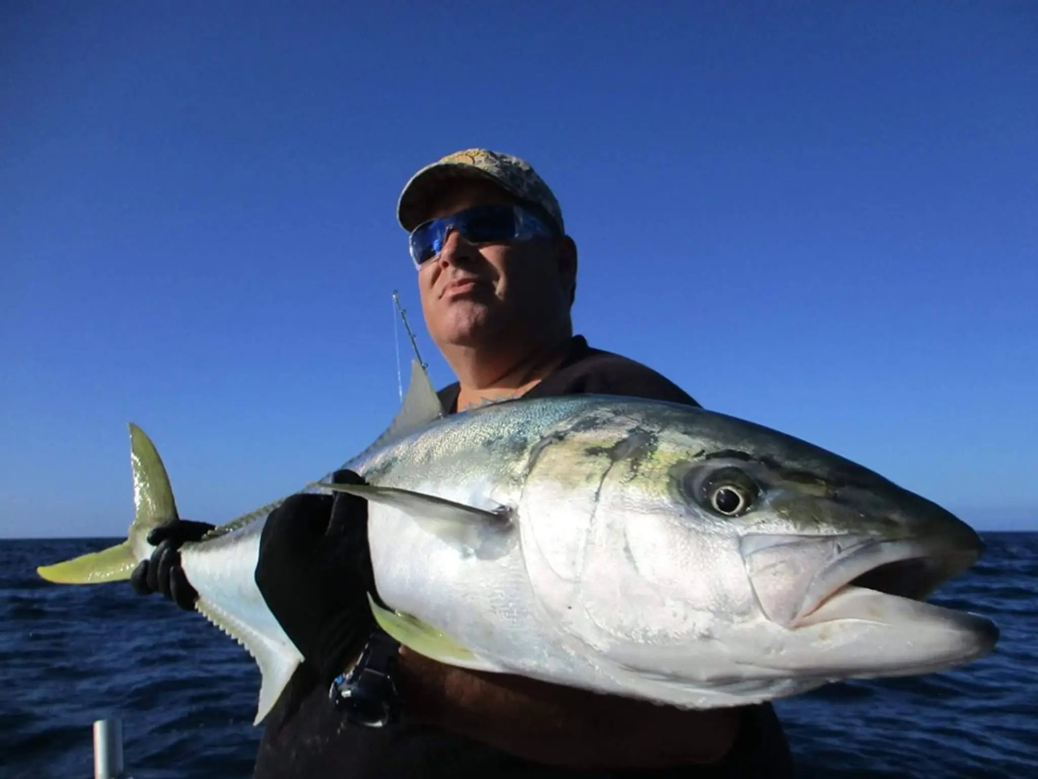 Warfish Charters