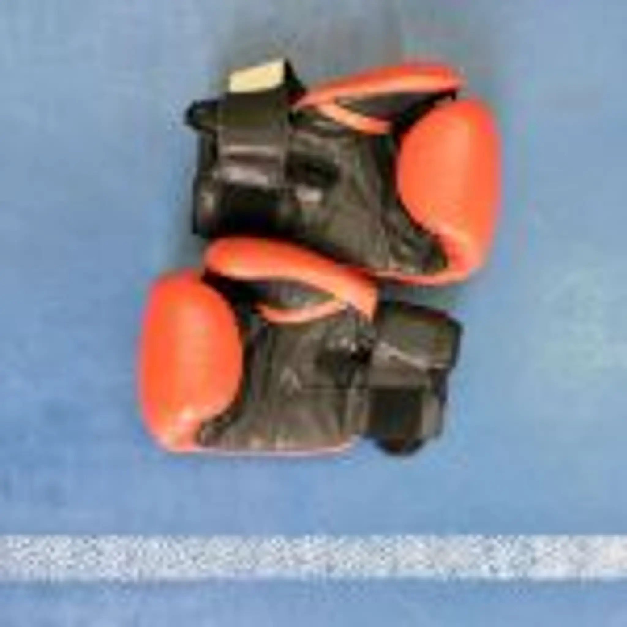 Clifton Kickboxing (Bristol)