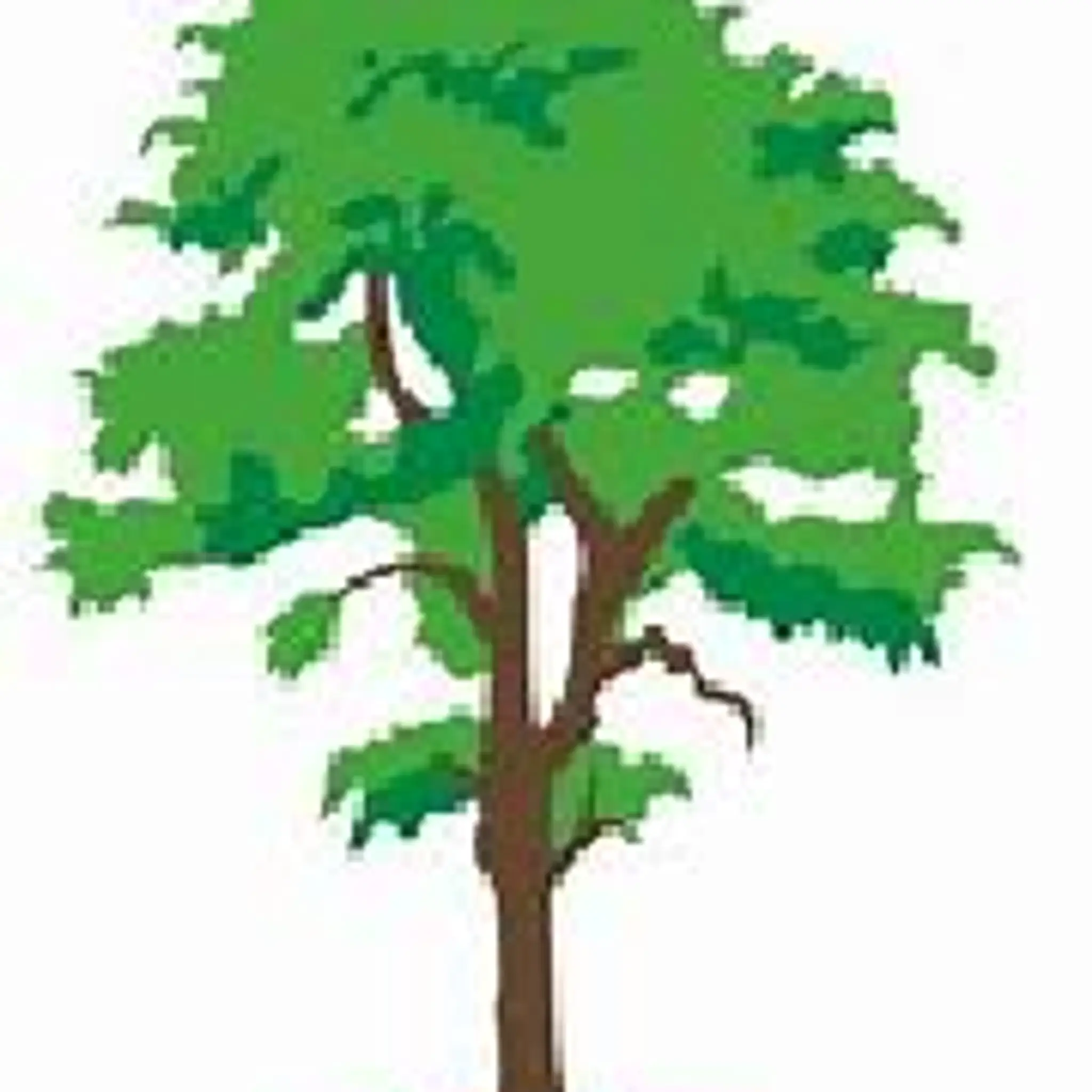 Upchurch Cricket Club