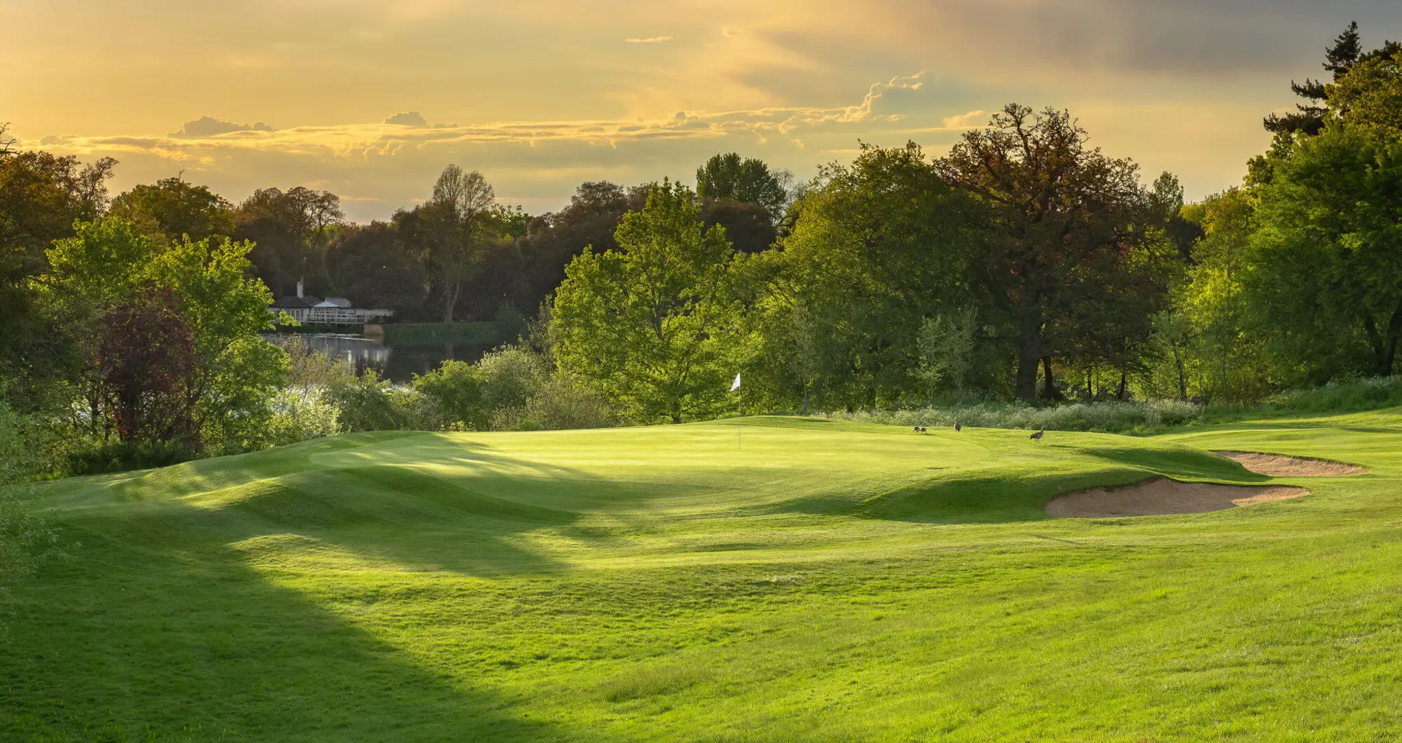 Braxted Park Golf Club