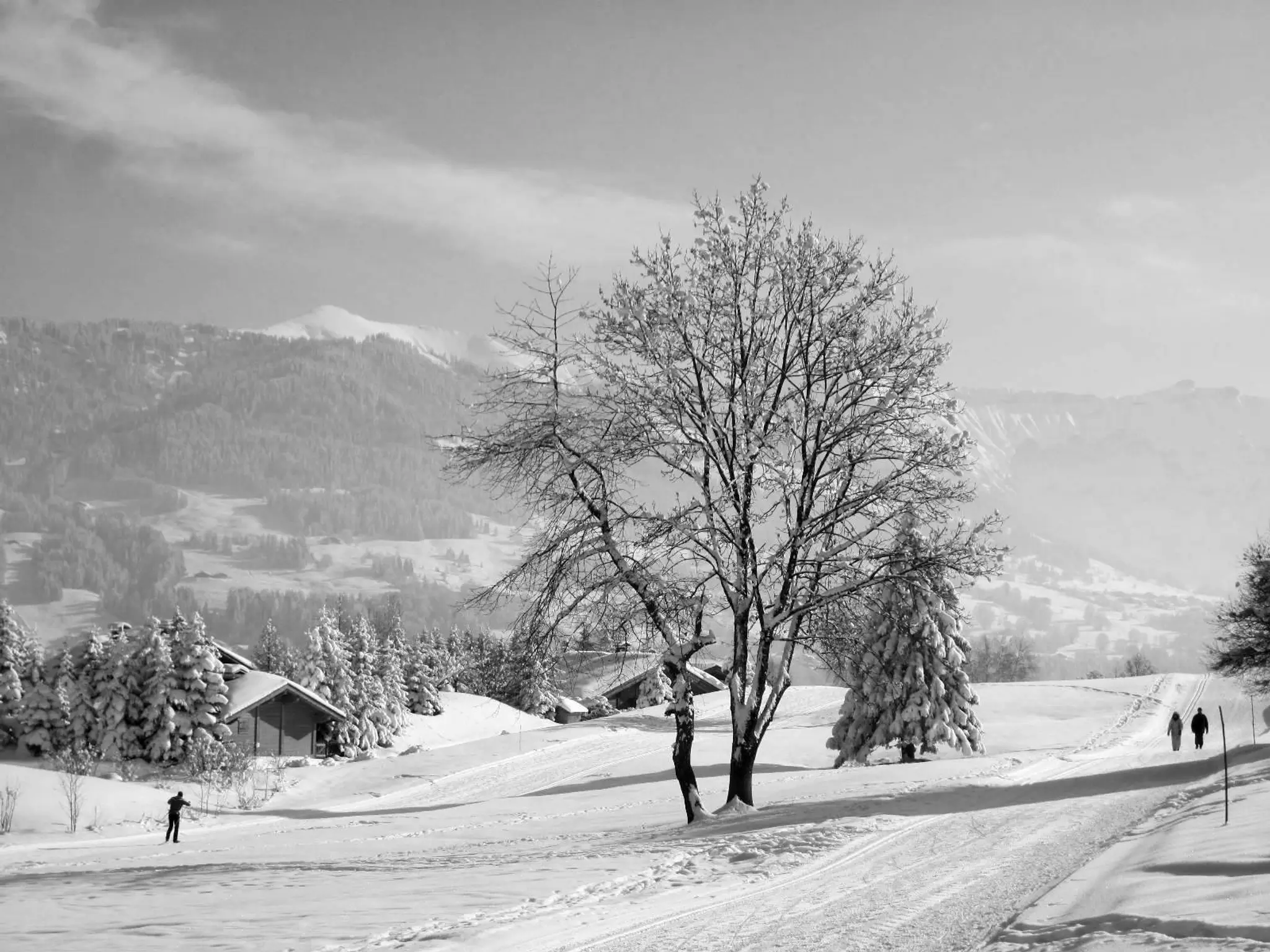 skiclub marnaz-vougy