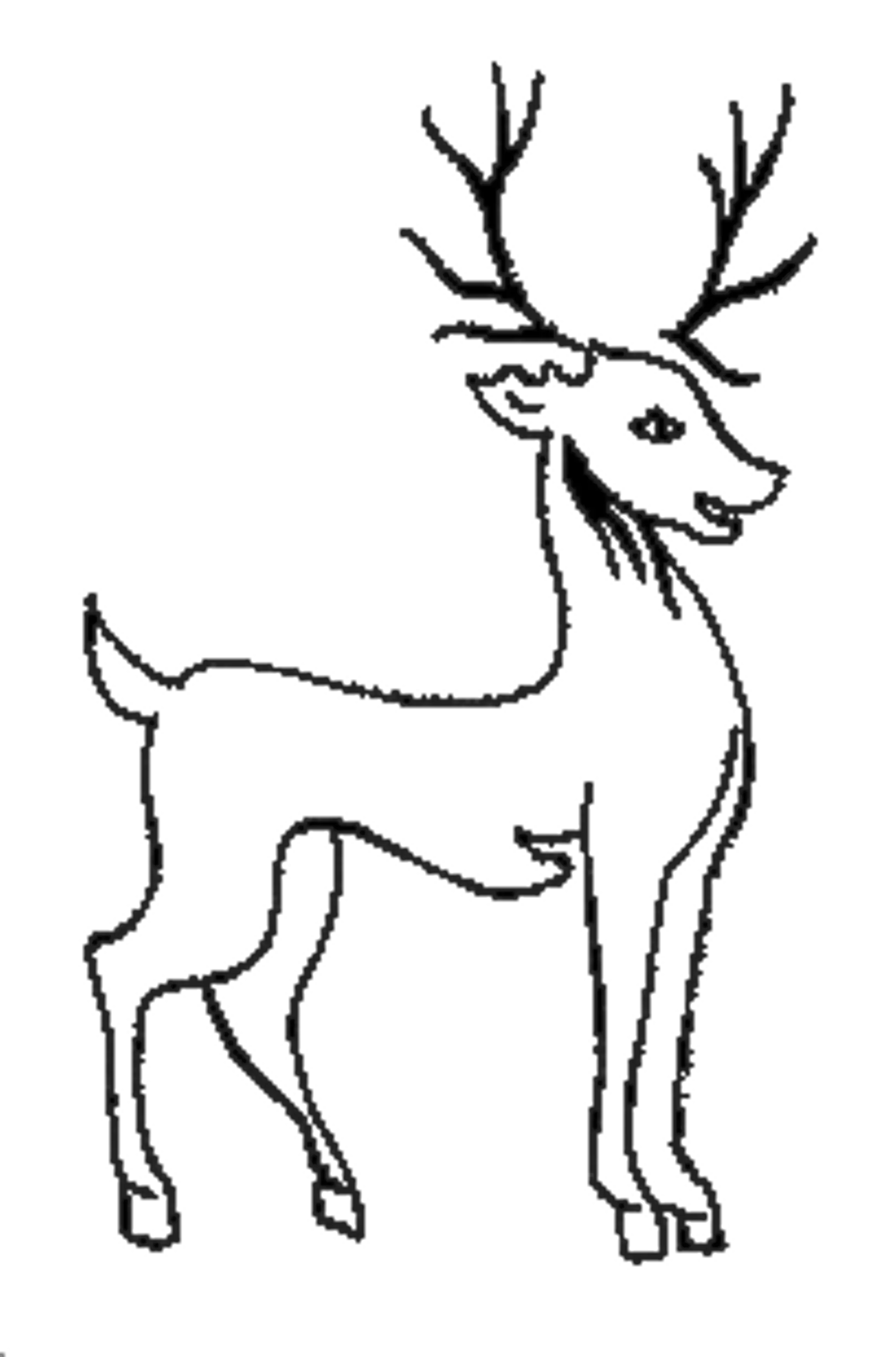 Buckhorn Weston Cricket Club