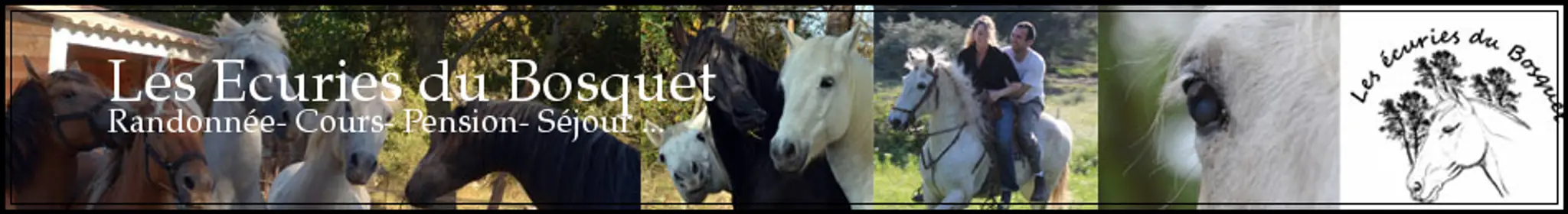 Les Ecuries Du Bosquet