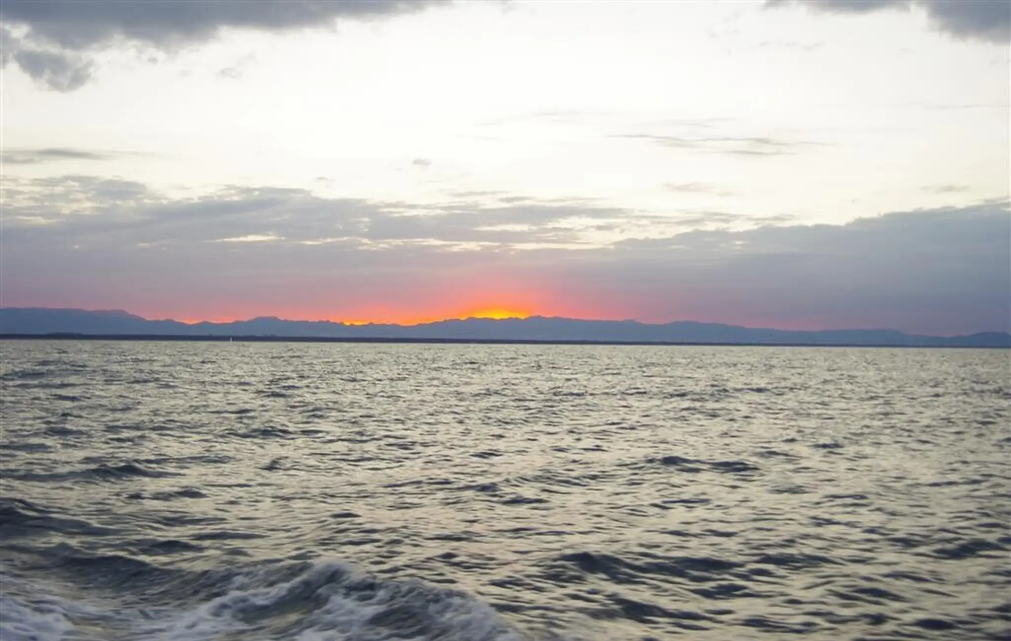 Tauranga Marine Charters