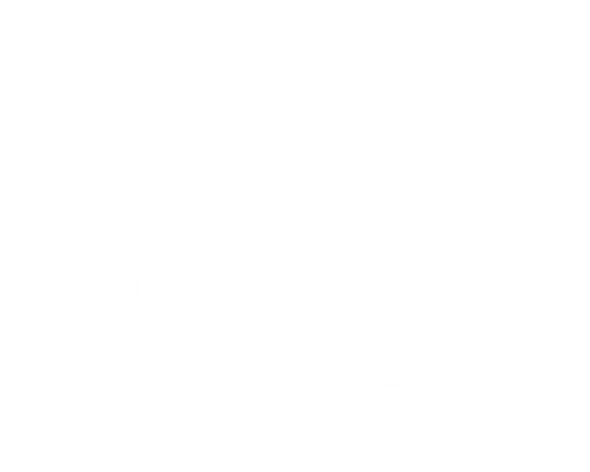 BODYFIT