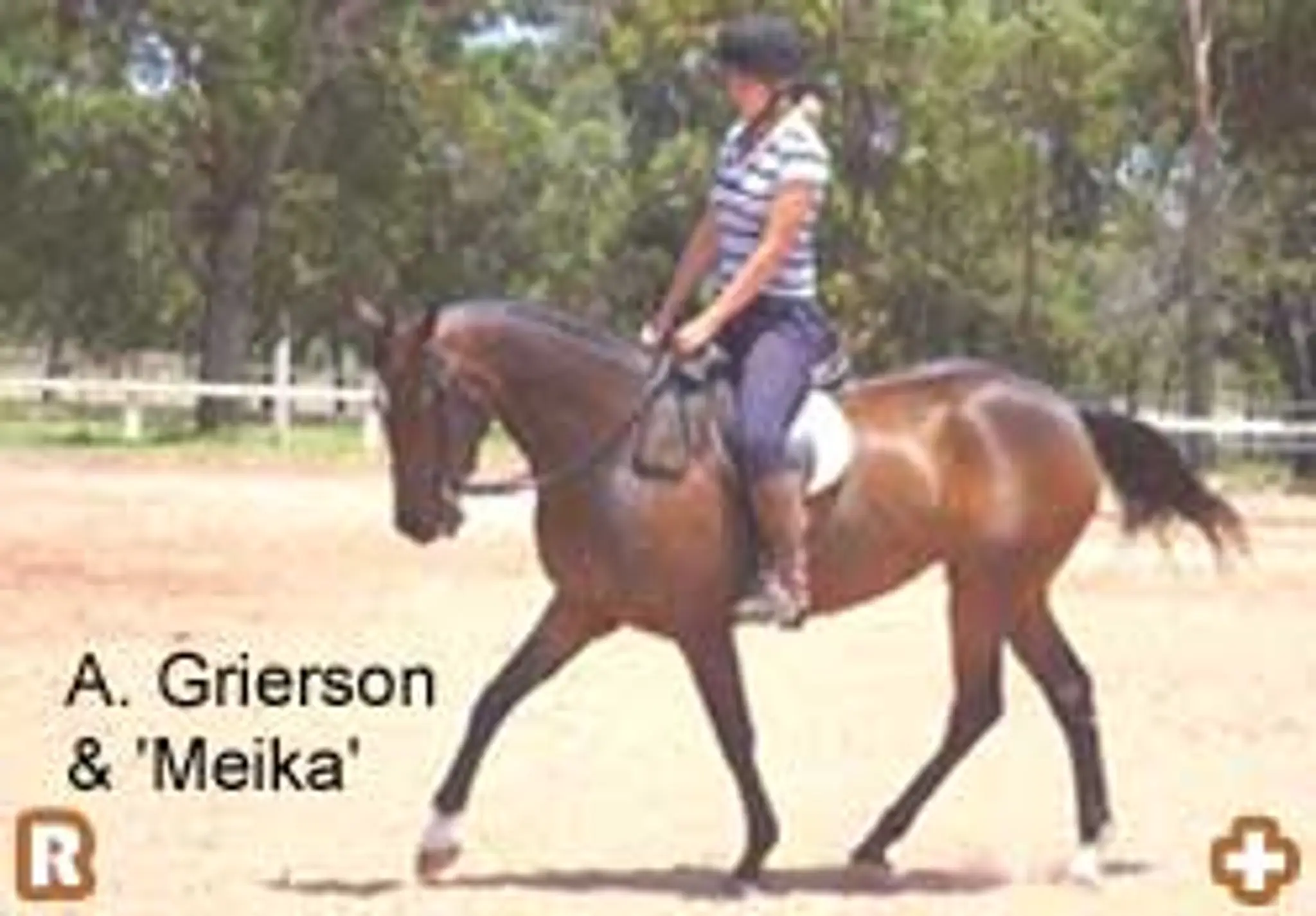 Chilcotin Horsemanship Services