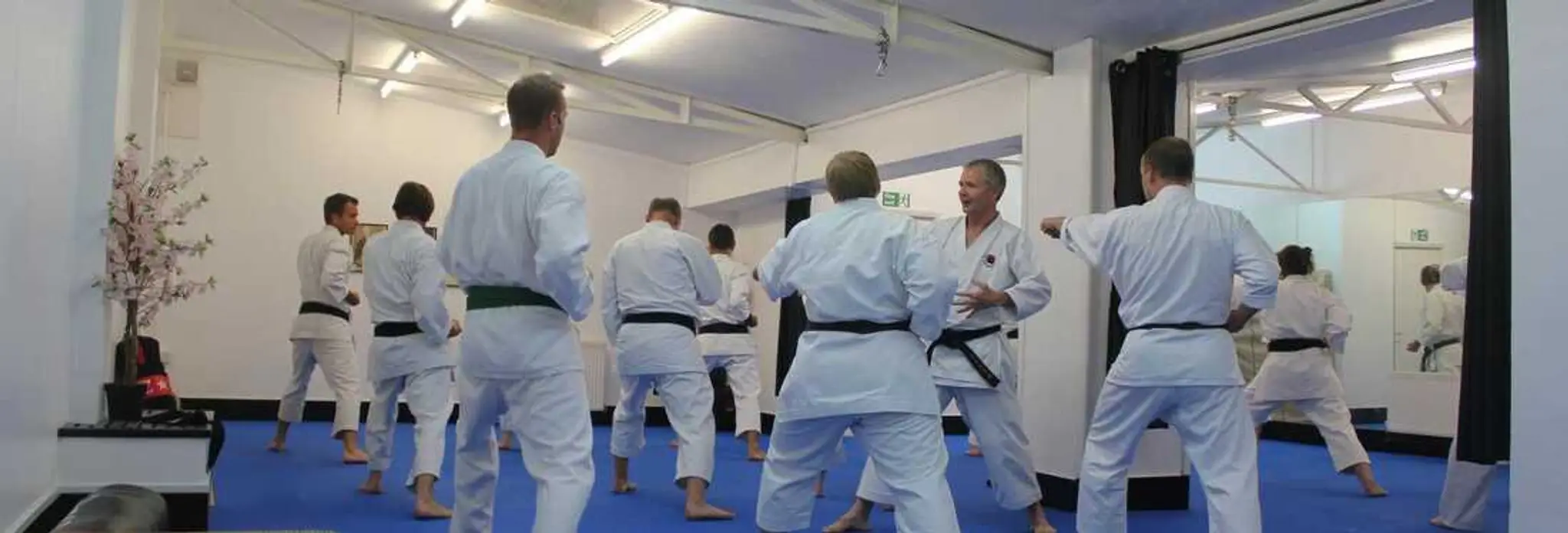 Westwood Karate Academy