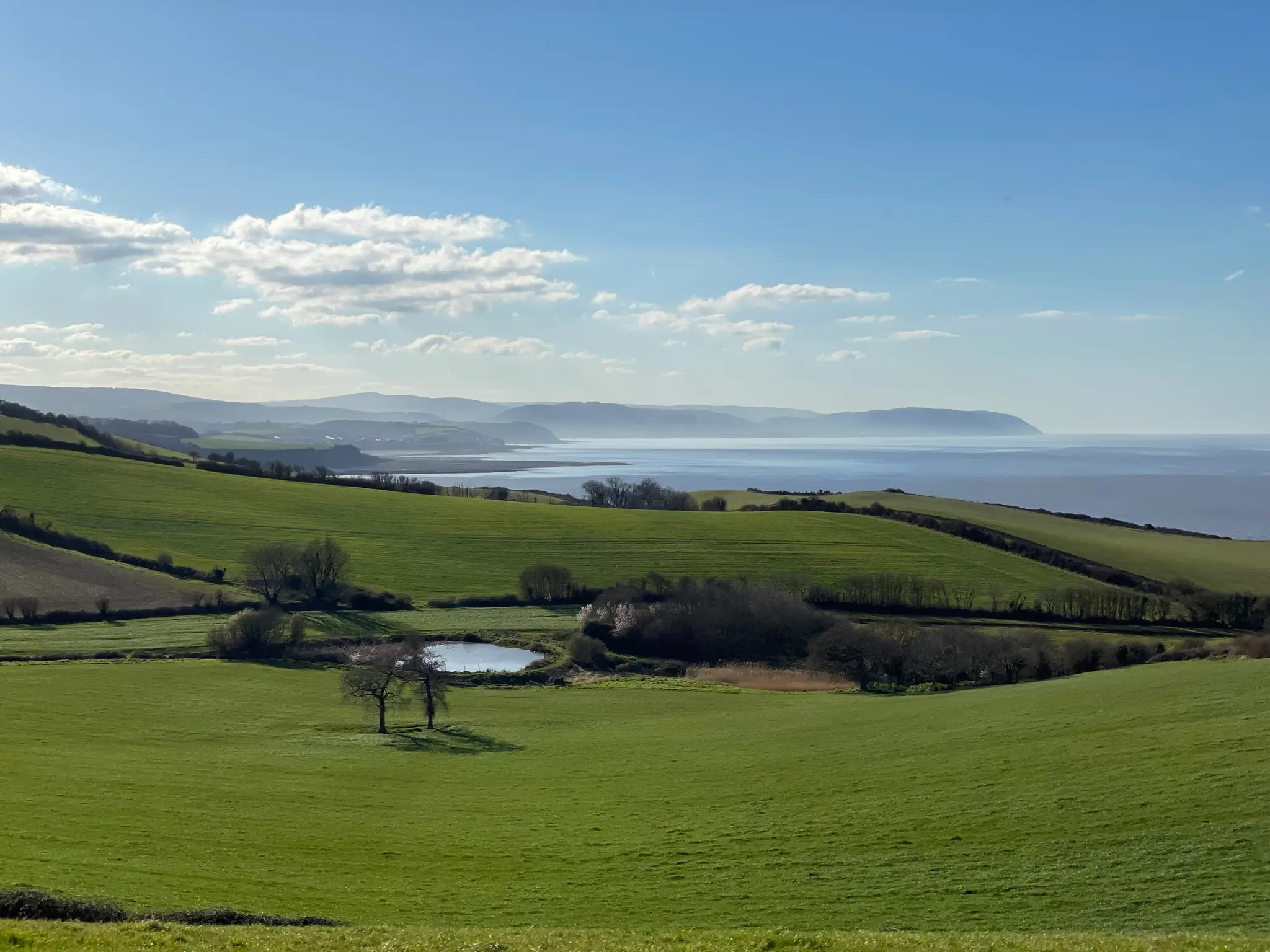 Lissa Milton Yoga & Mindfulness