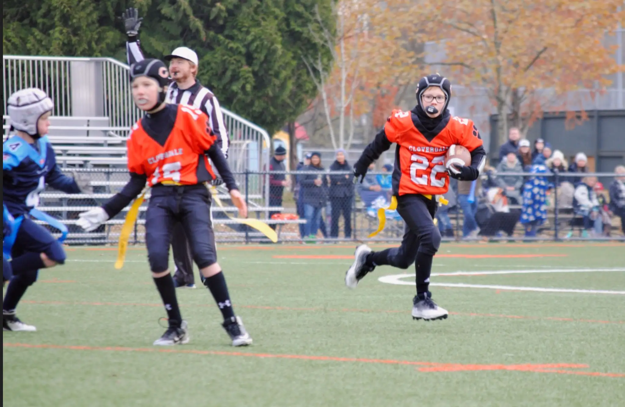 Cloverdale Athletic Park Field 1